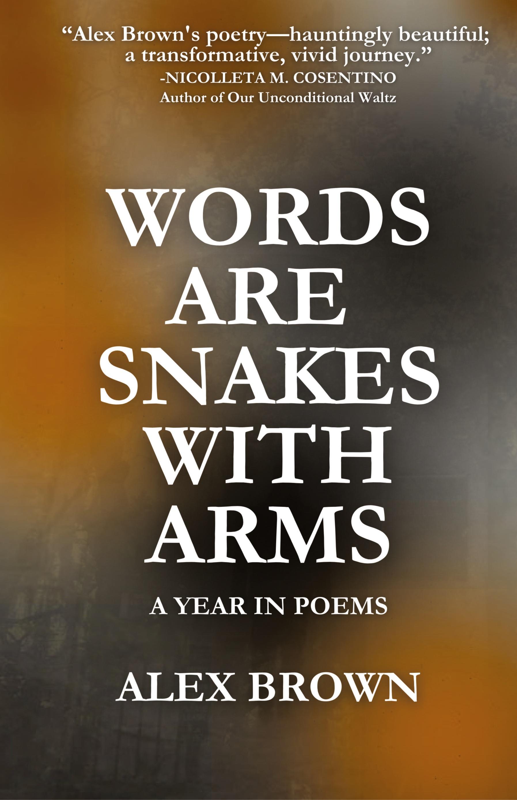 Vorderes Coverbild Words Are Snakes With Arms