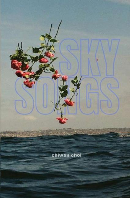 Vorderes Coverbild Sky Songs