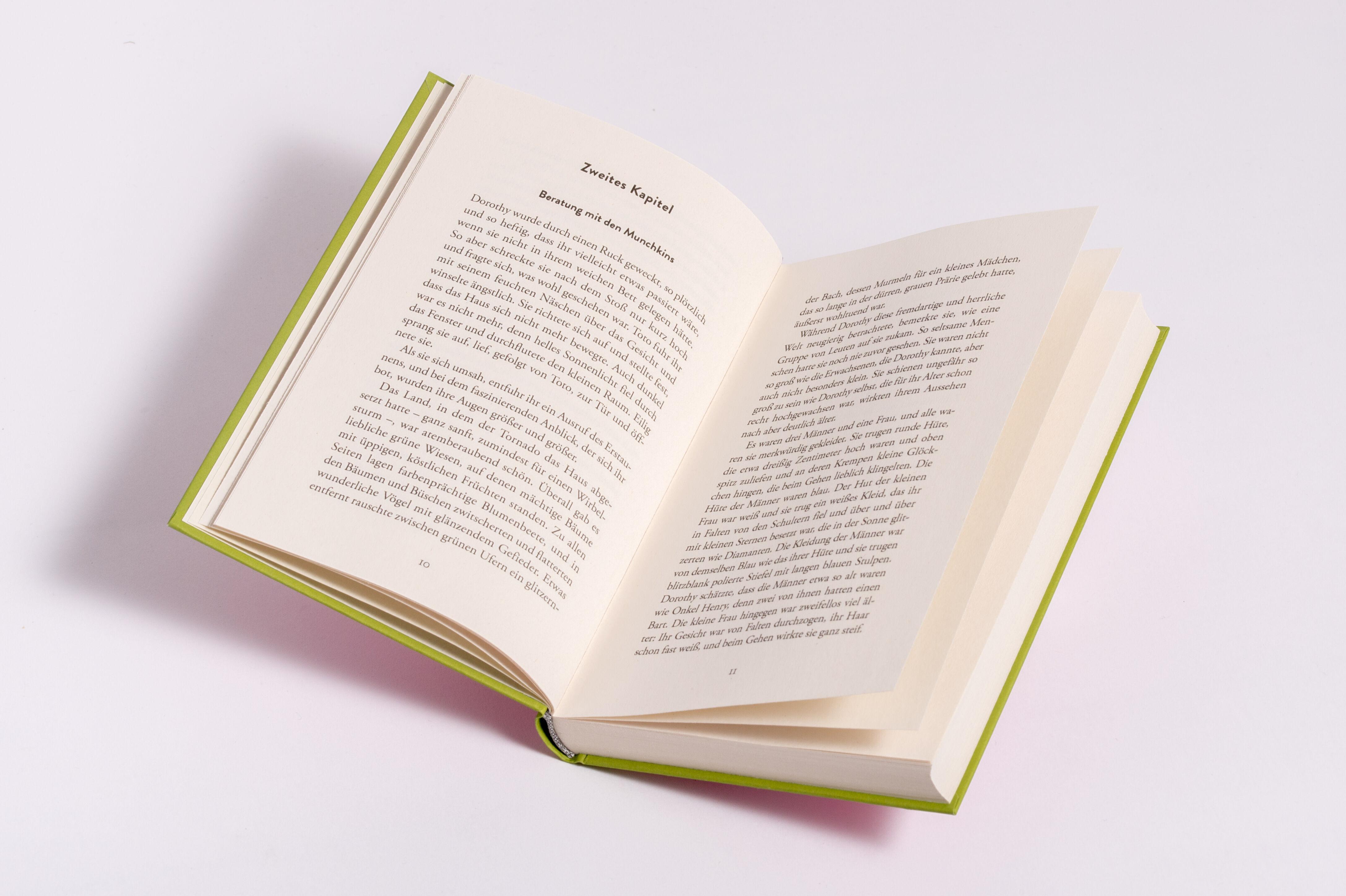 Beispielinhalt (Bild) Der Zauberer von Oz. Schmuckausgabe mit Silberprägung