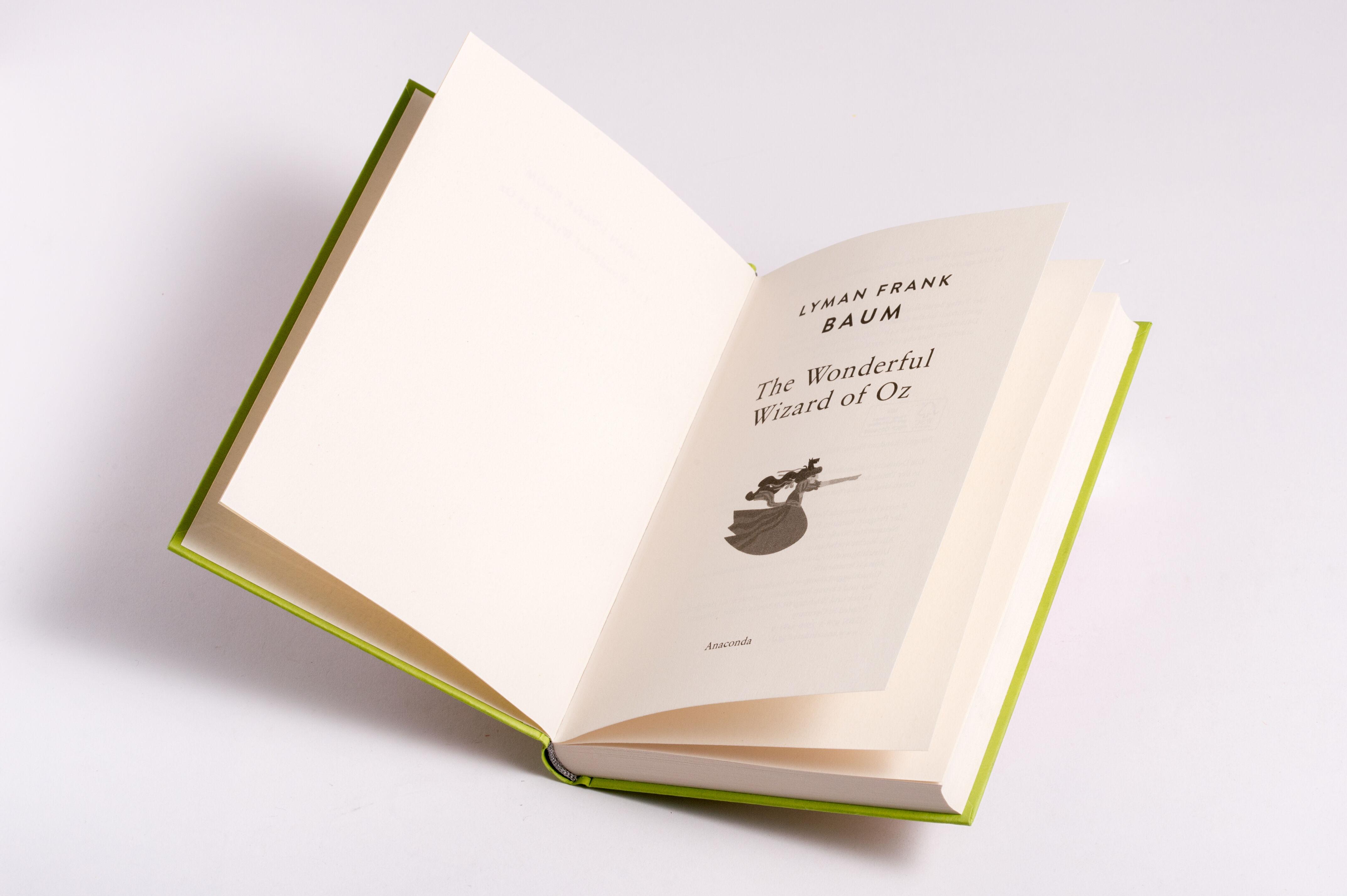 Beispielinhalt (Bild) Baum - The Wizard of Oz. English Edition