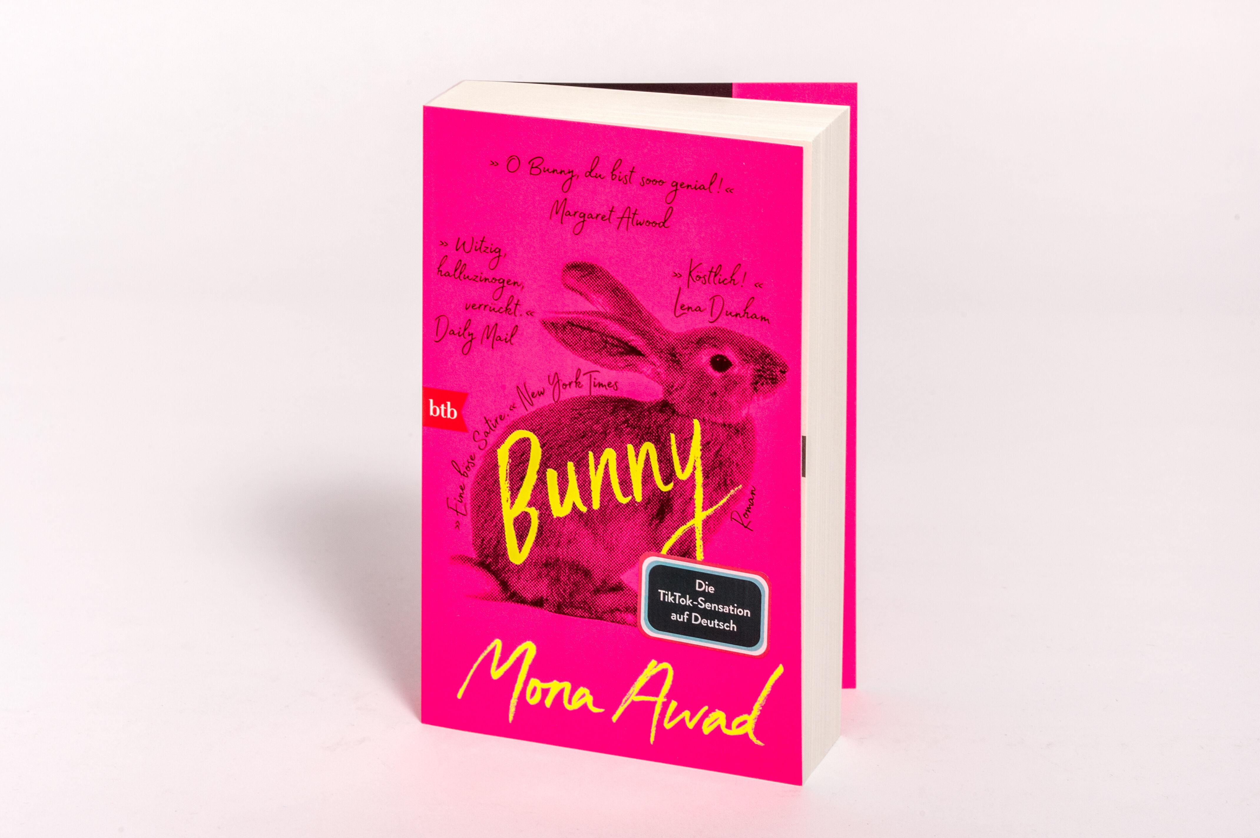 Beispielinhalt (Bild) Bunny
