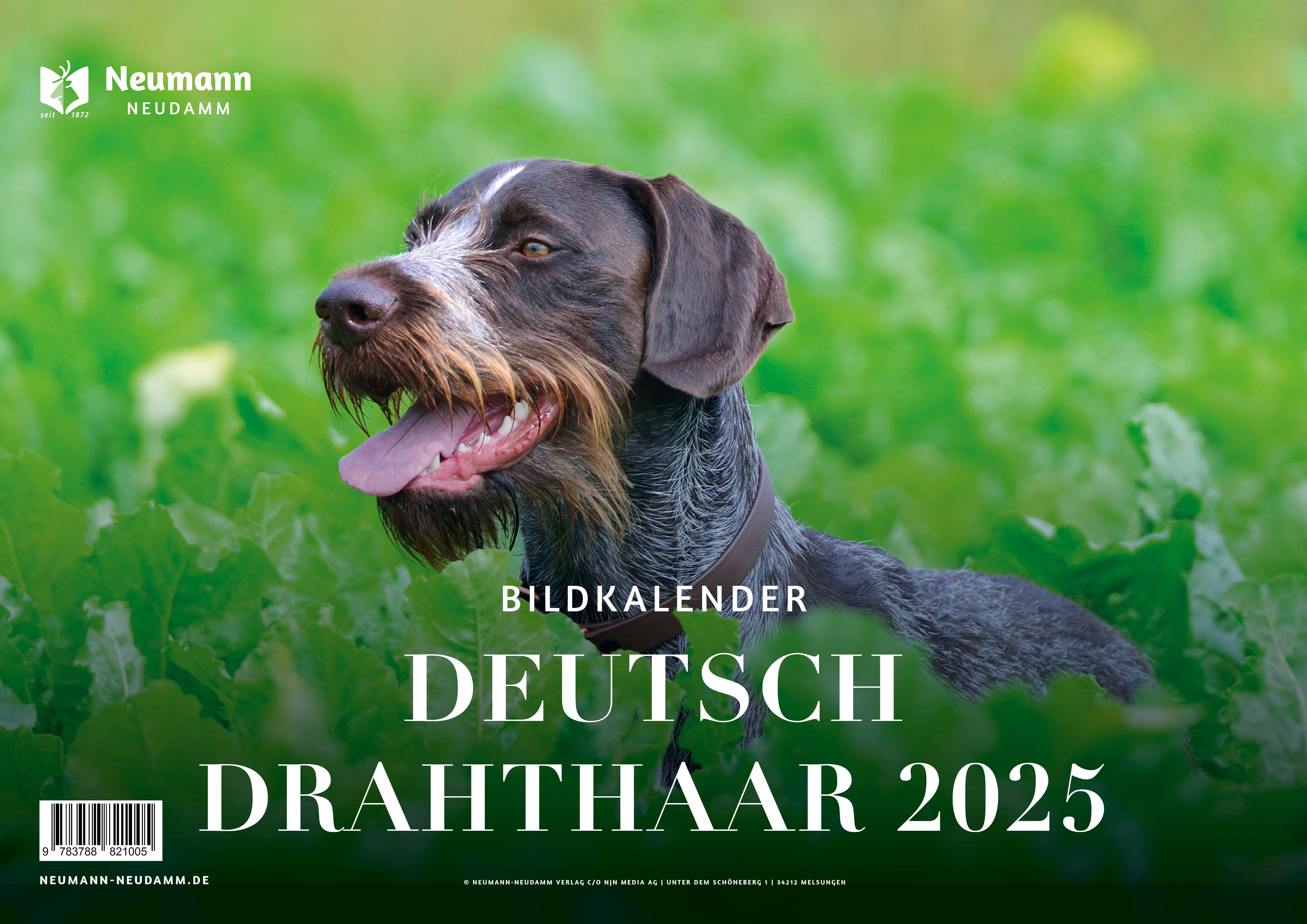 Vorderes Coverbild Deutsch Drahthaar 2025