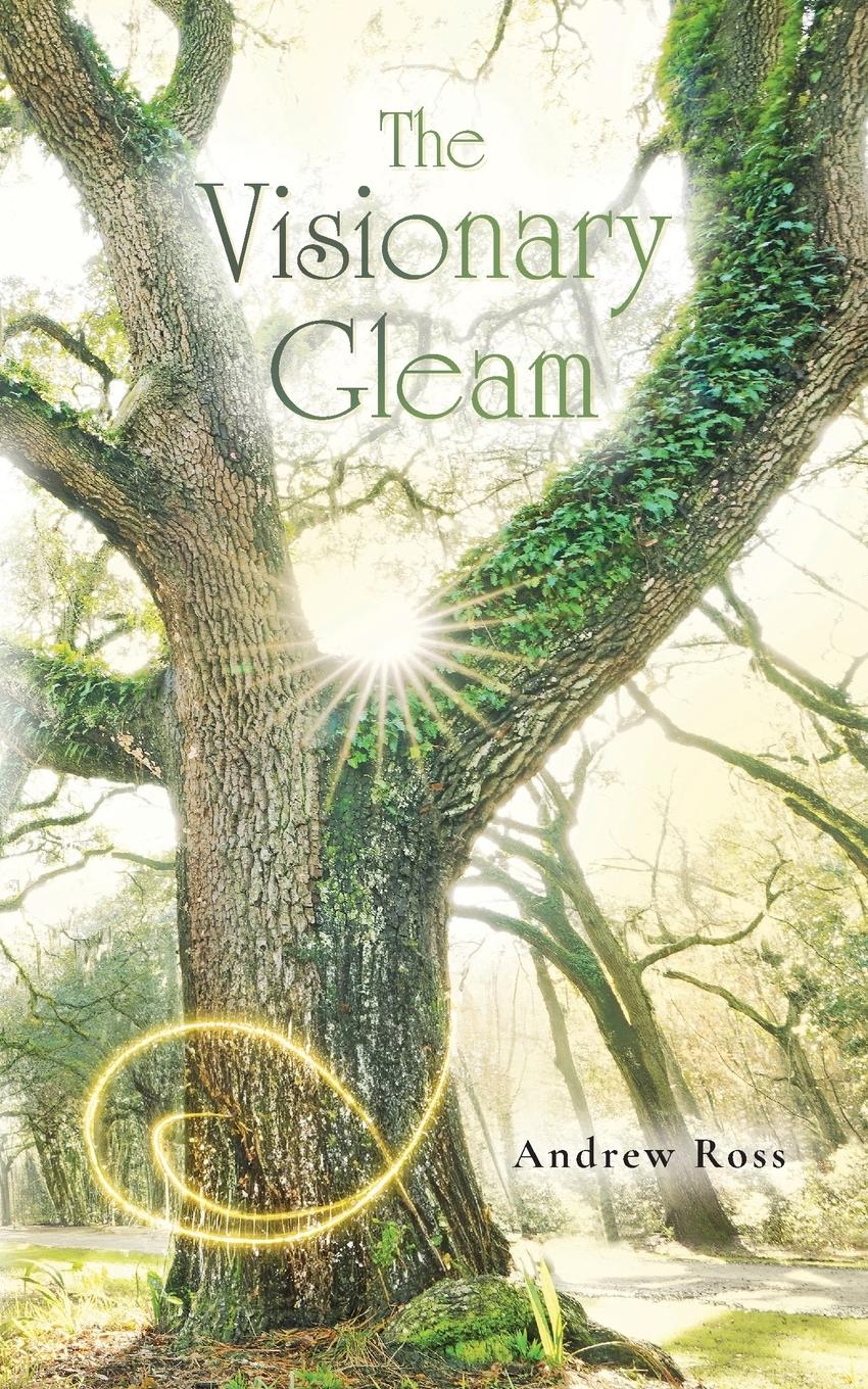 Vorderes Coverbild The Visionary Gleam