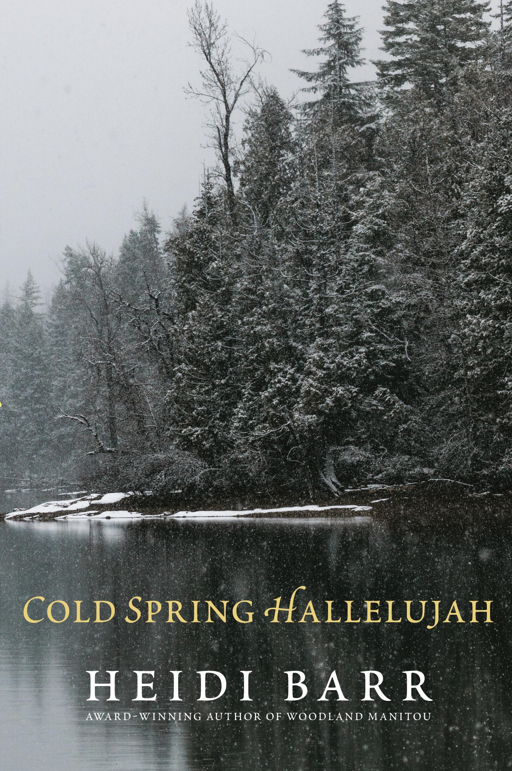 Vorderes Coverbild Cold Spring Hallelujah