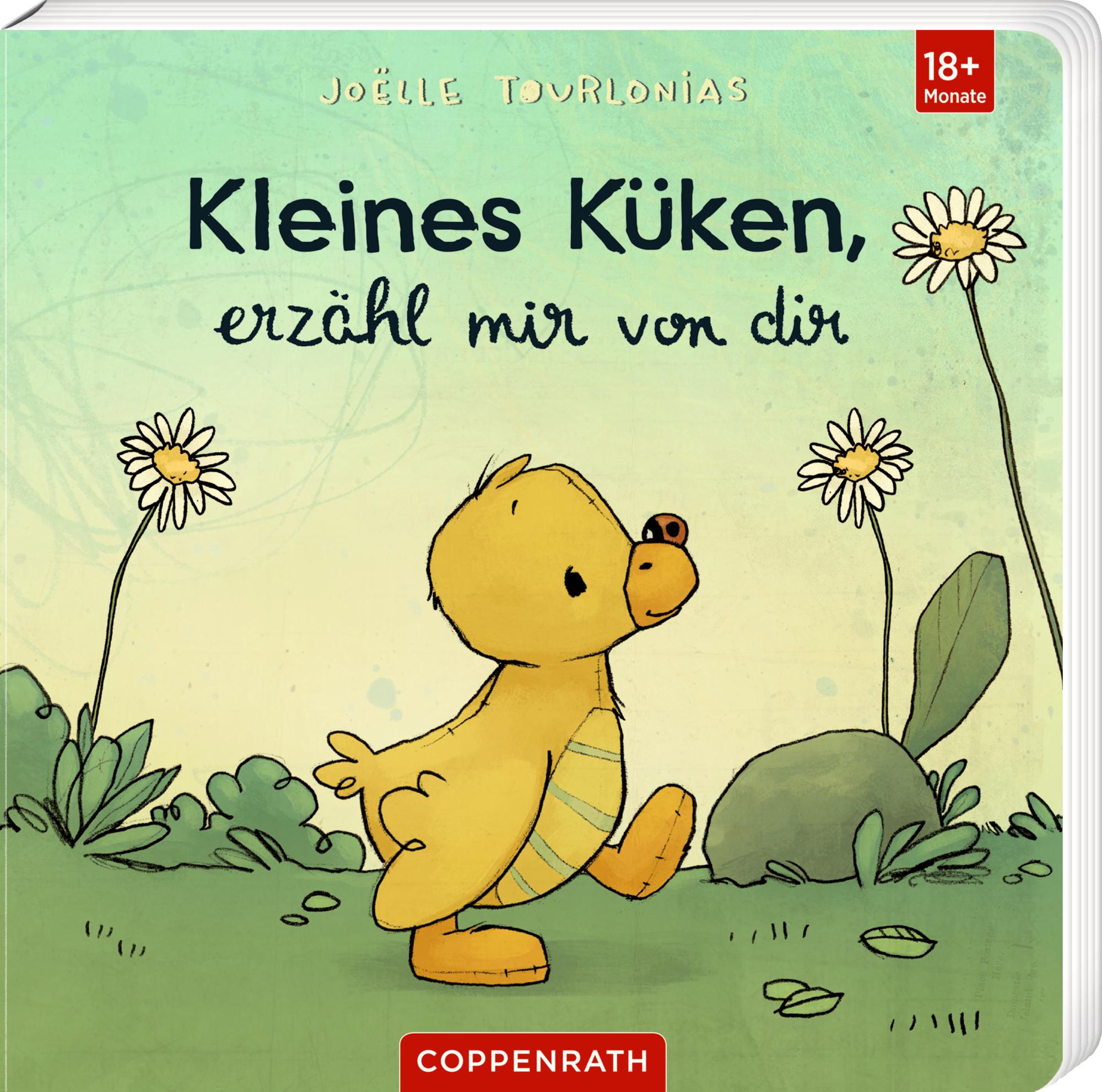 Vorderes Coverbild Kleines Küken, erzähl mir von dir