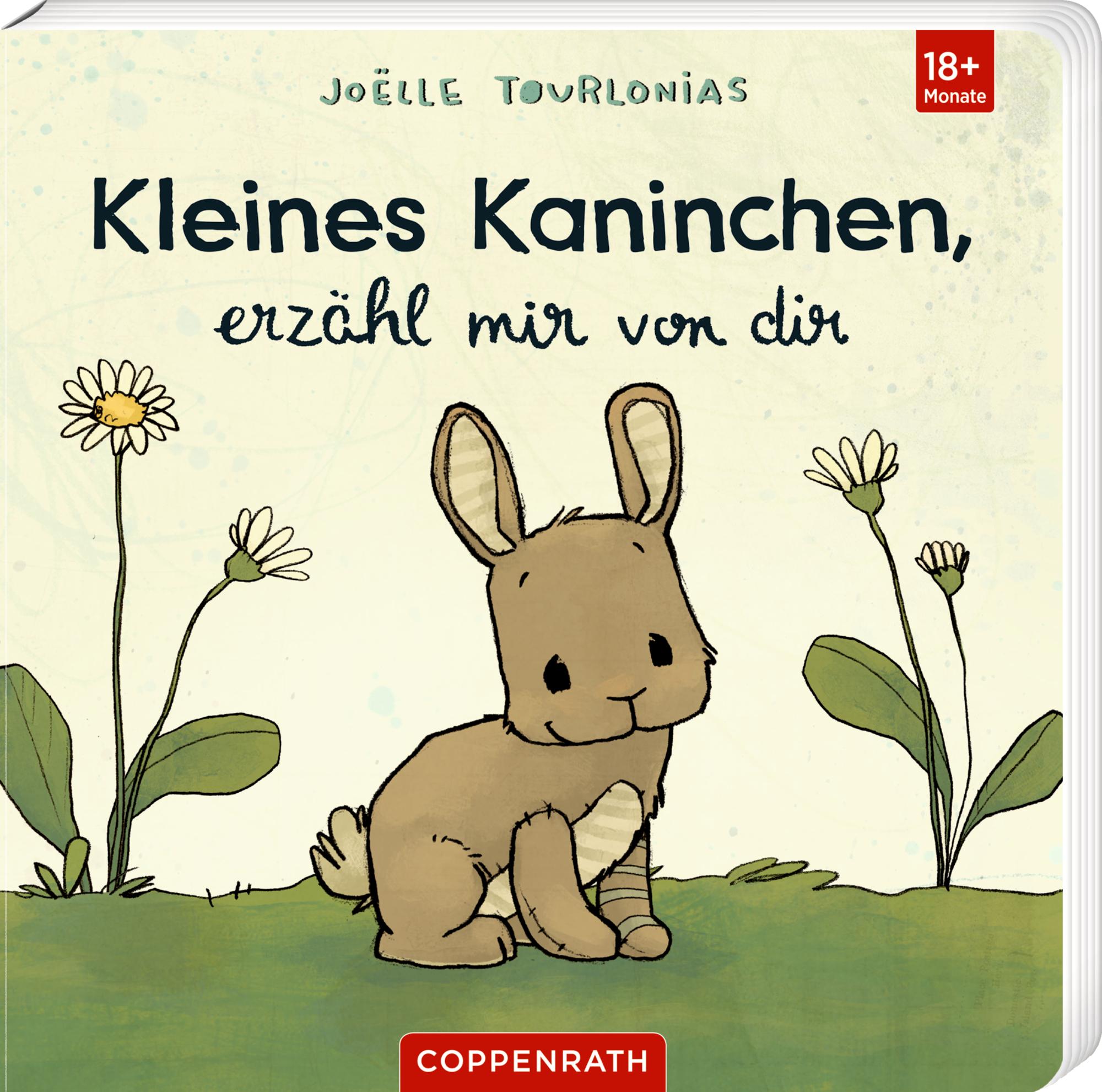 Vorderes Coverbild Kleines Kaninchen, erzähl mir von dir