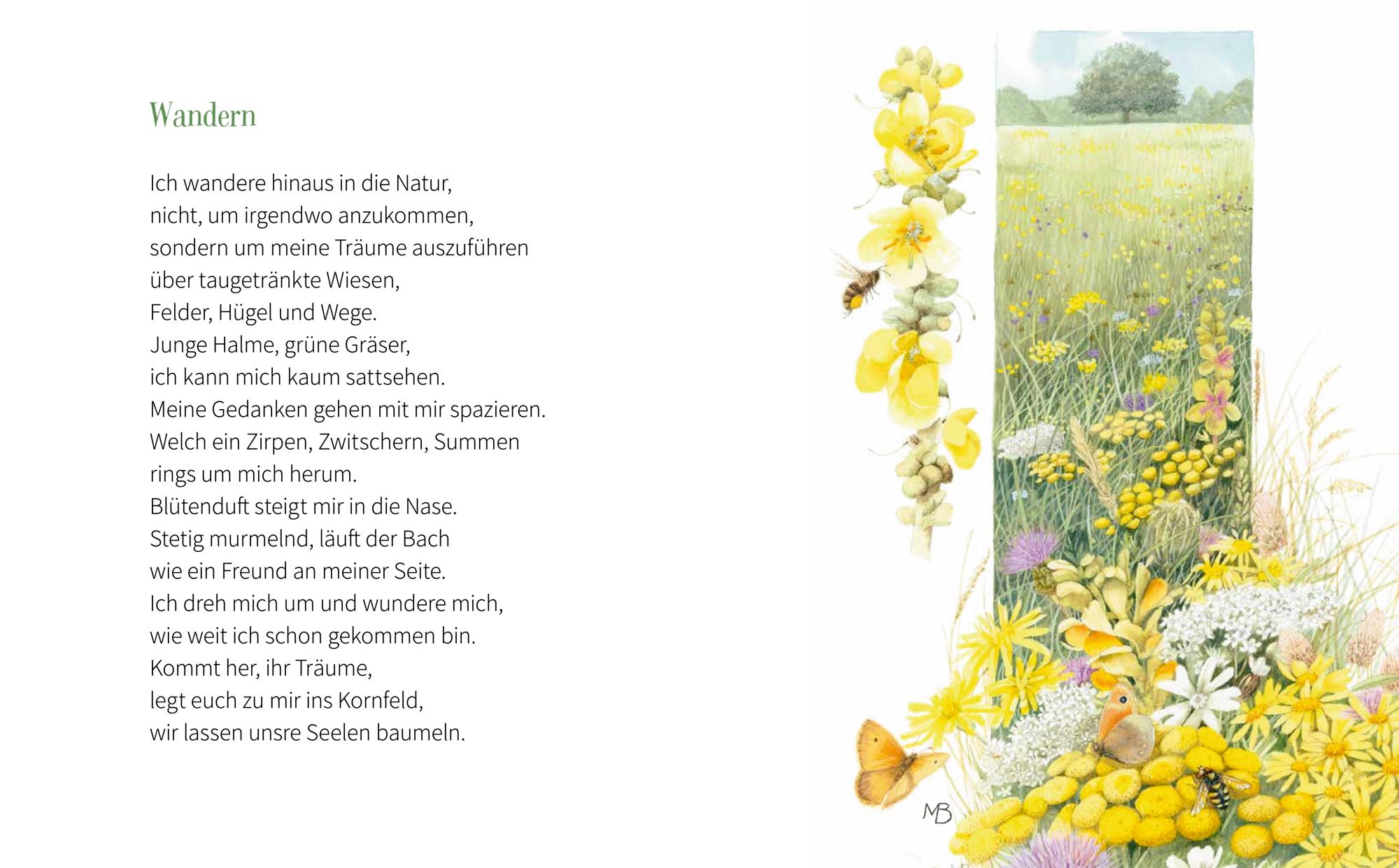 Beispielinhalt (Bild) Hallo Leben, du bist so schön!