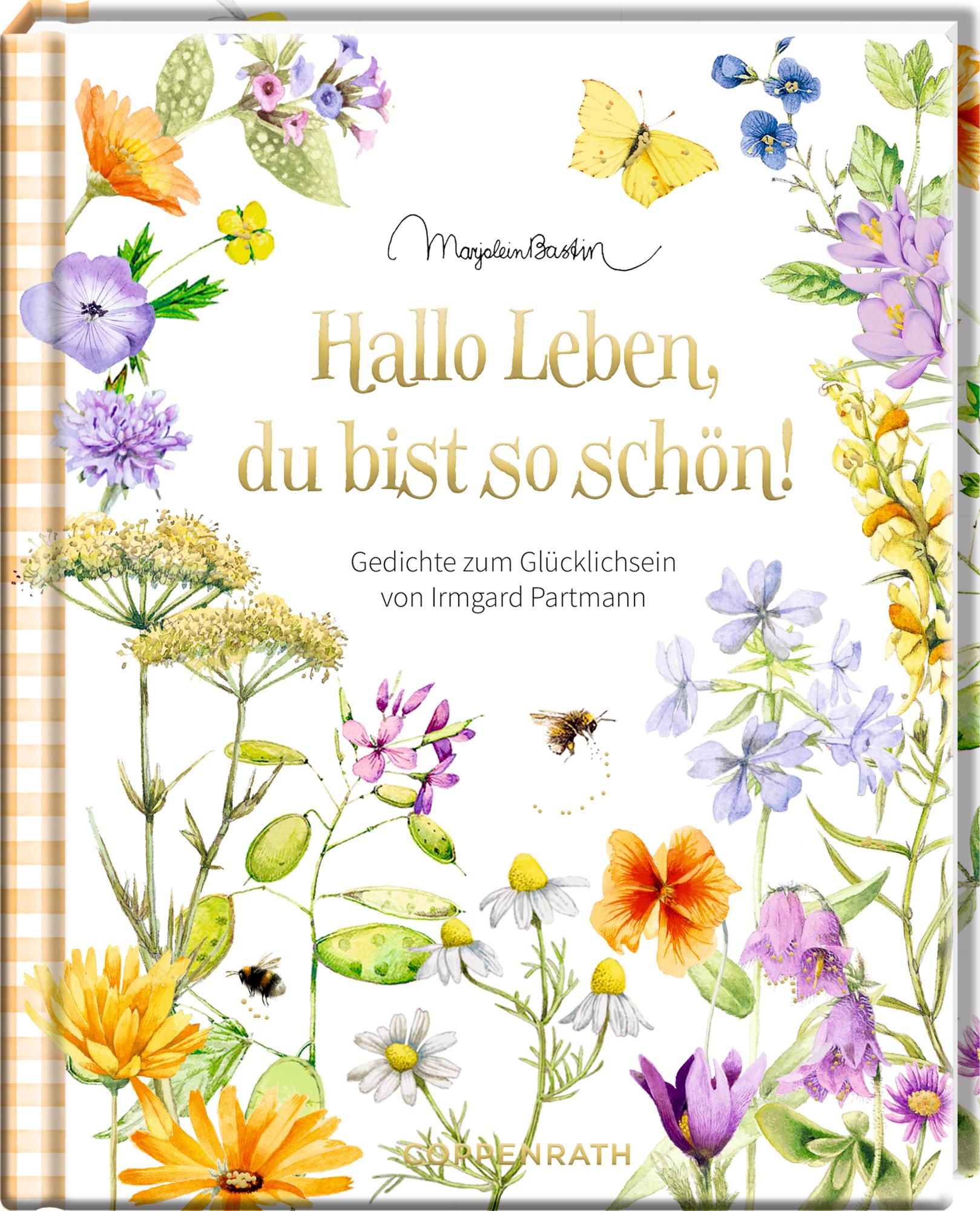 Vorderes Coverbild Hallo Leben, du bist so schön!