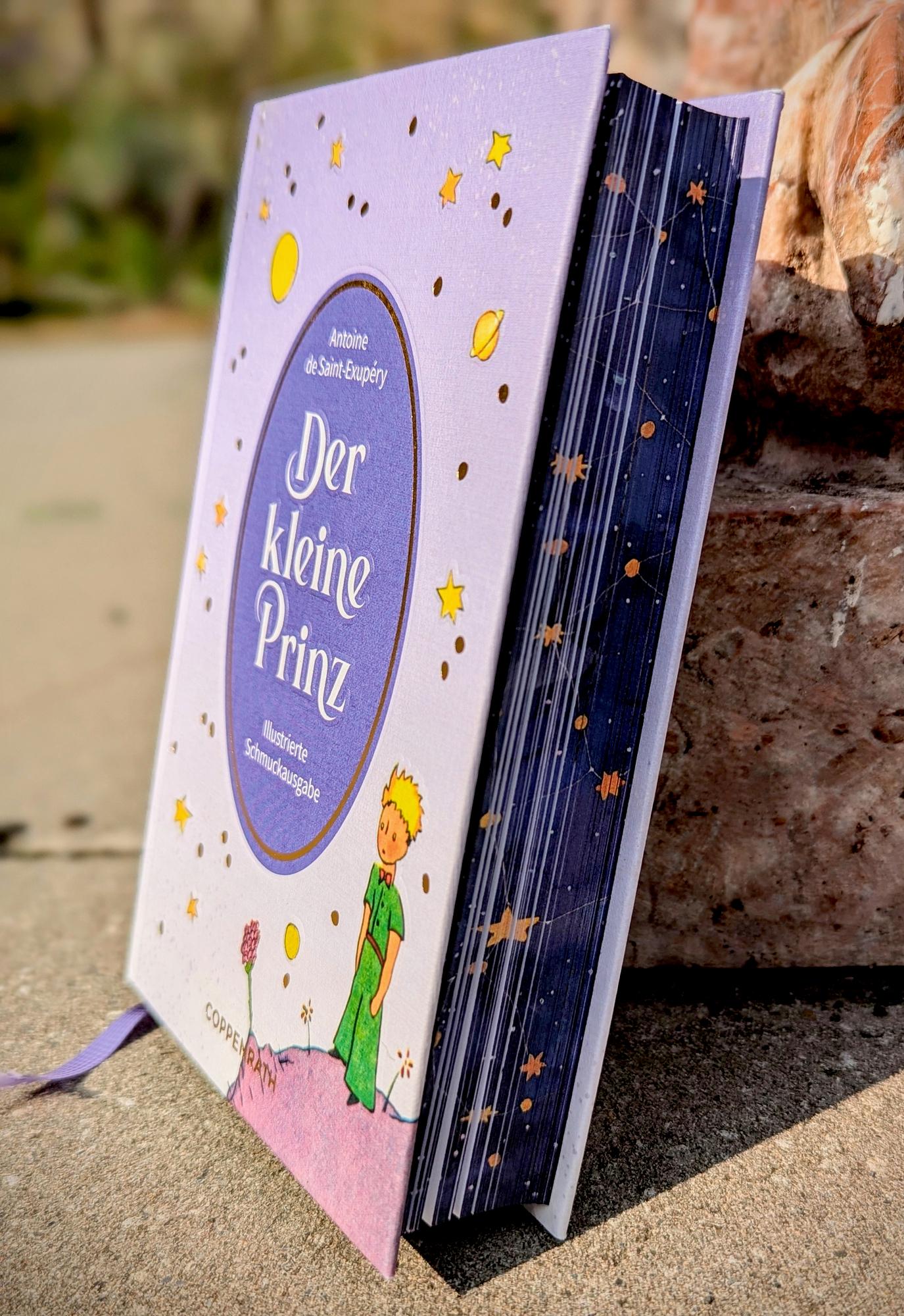 Beispielinhalt (Bild) Der kleine Prinz