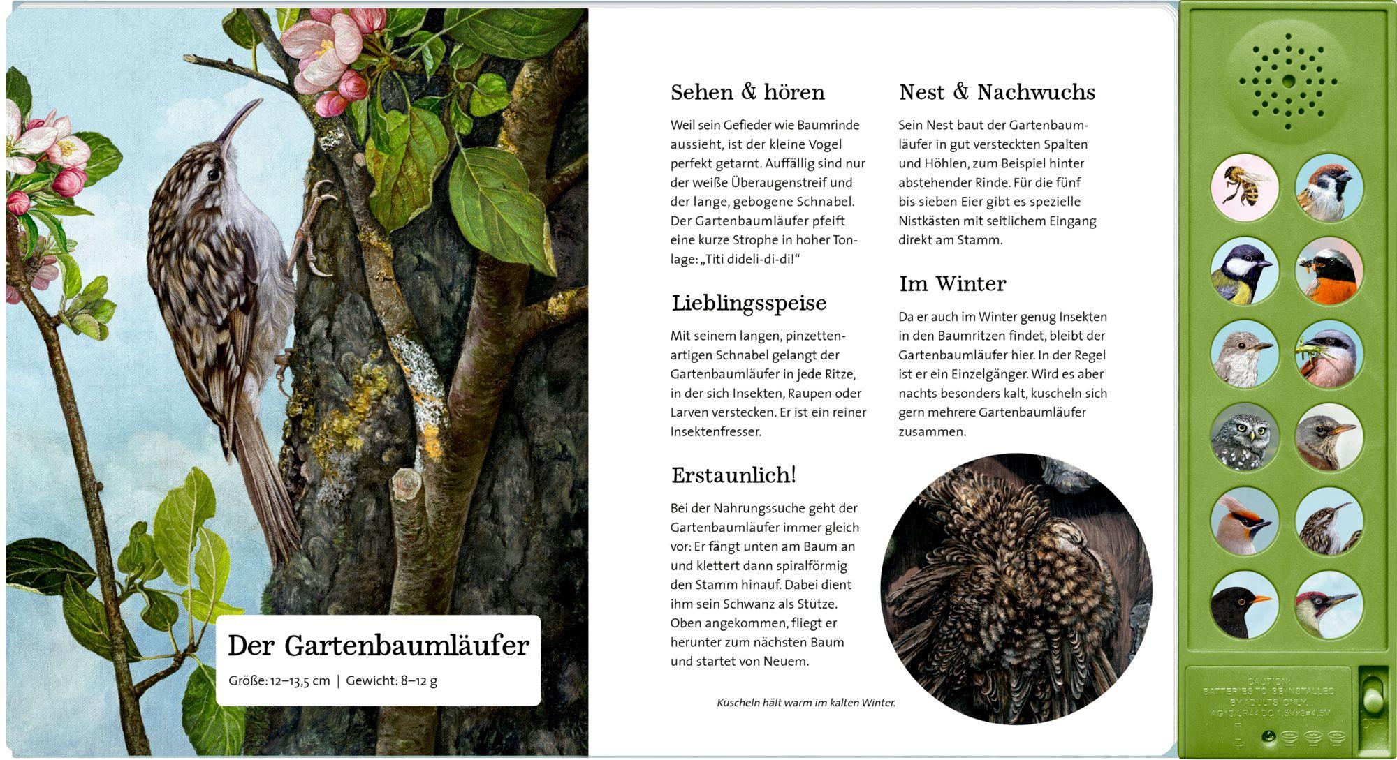 Beispielinhalt (Bild) Was singt und summt im Apfelbaum?