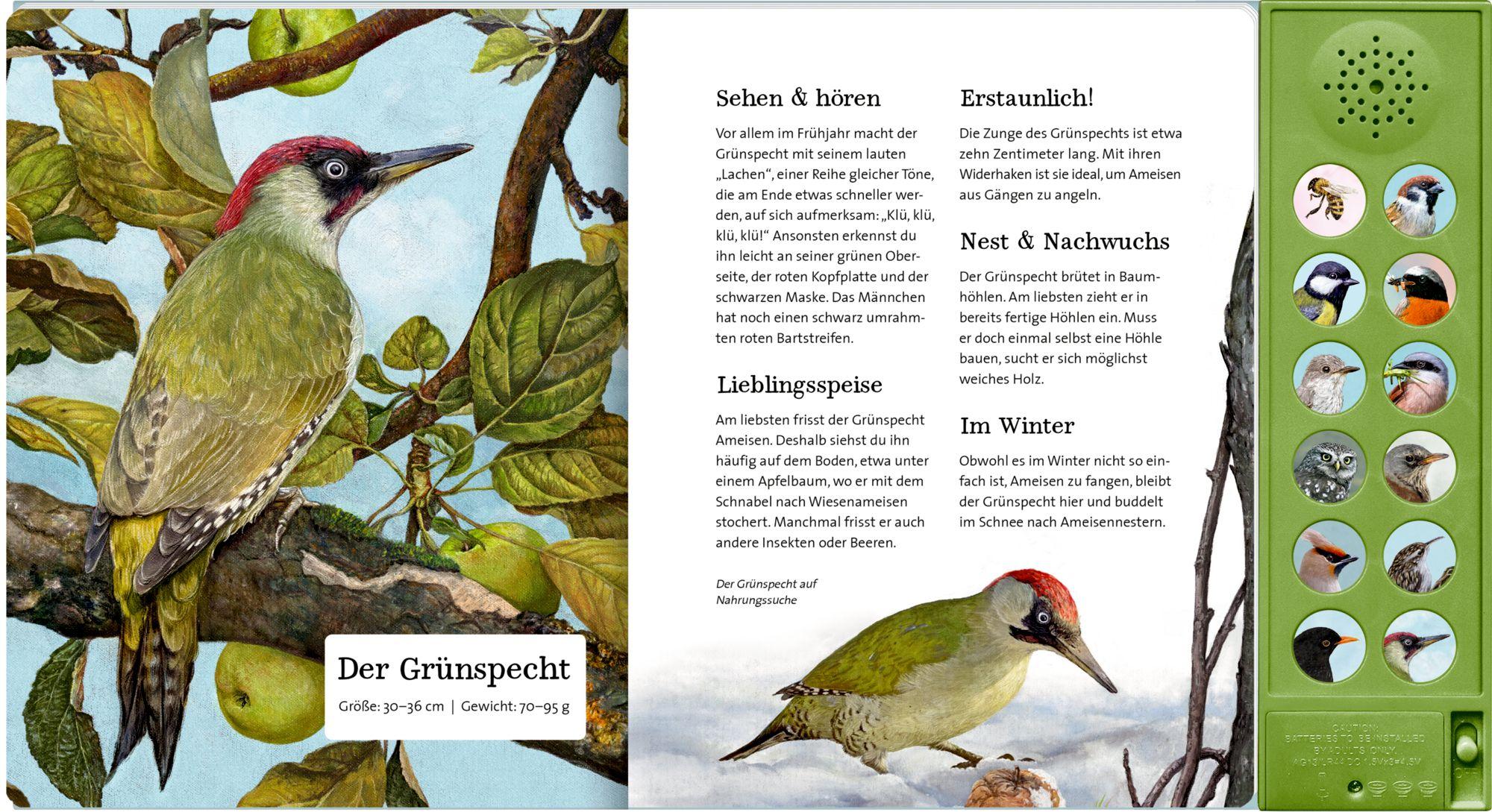 Beispielinhalt (Bild) Was singt und summt im Apfelbaum?