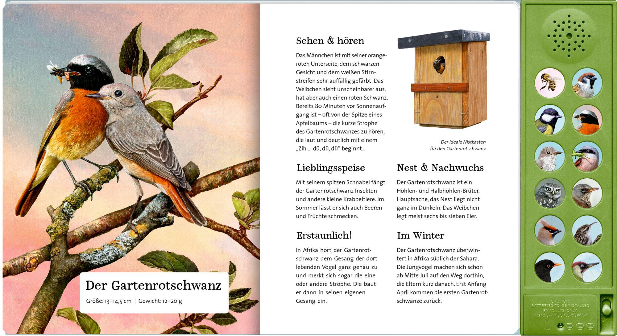 Beispielinhalt (Bild) Was singt und summt im Apfelbaum?