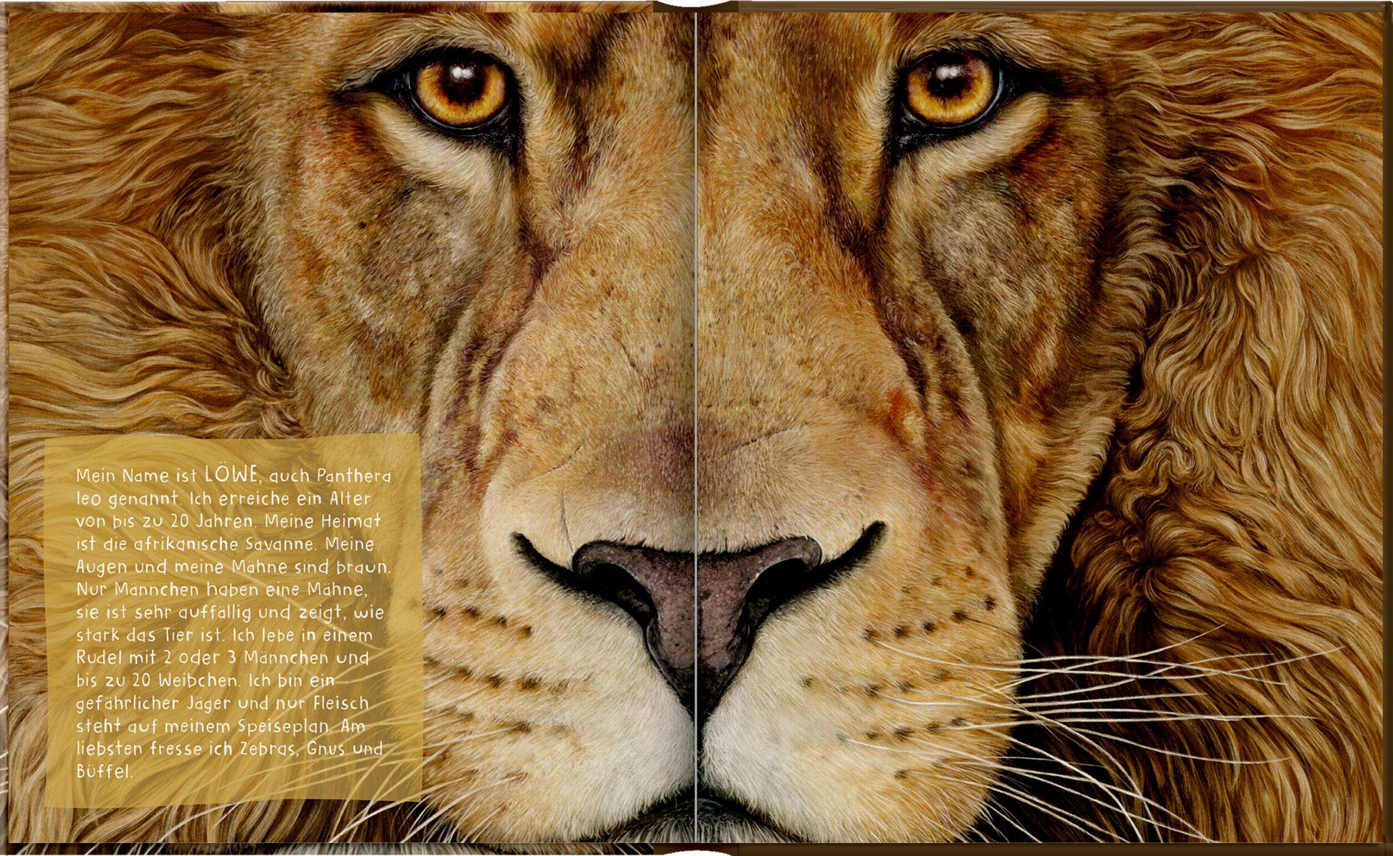 Beispielinhalt (Bild) Freundebuch - Meine Freunde