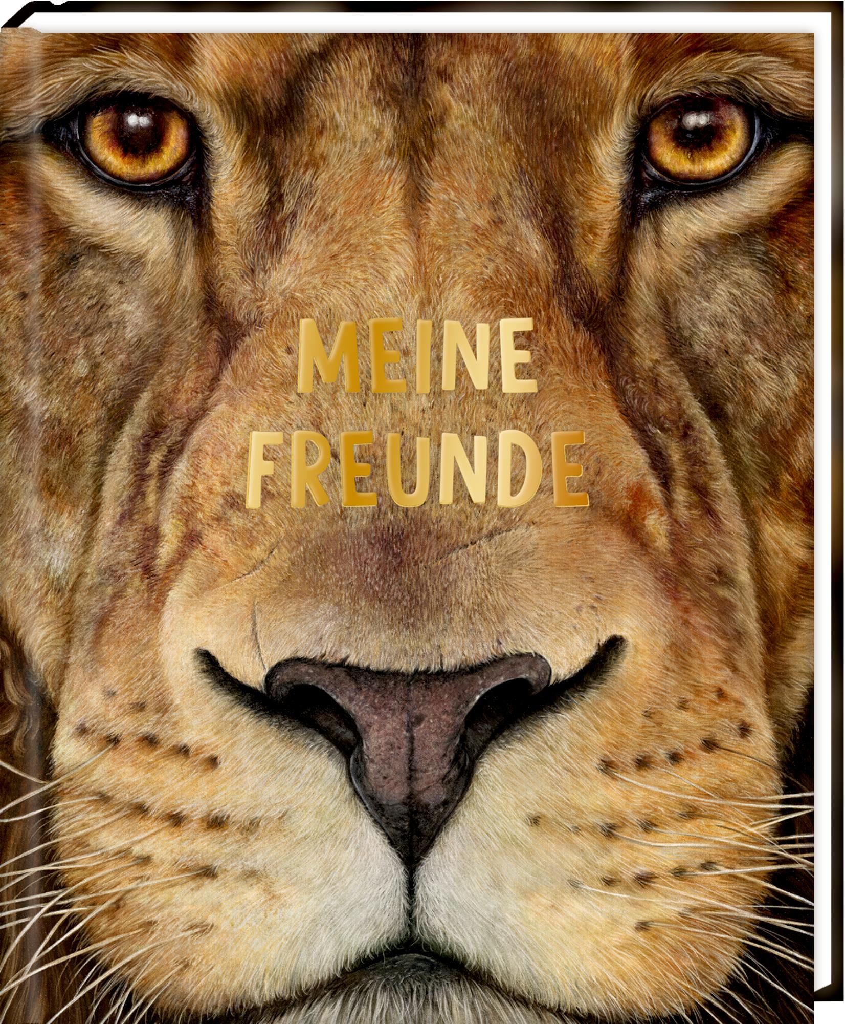 Vorderes Coverbild Freundebuch - Meine Freunde