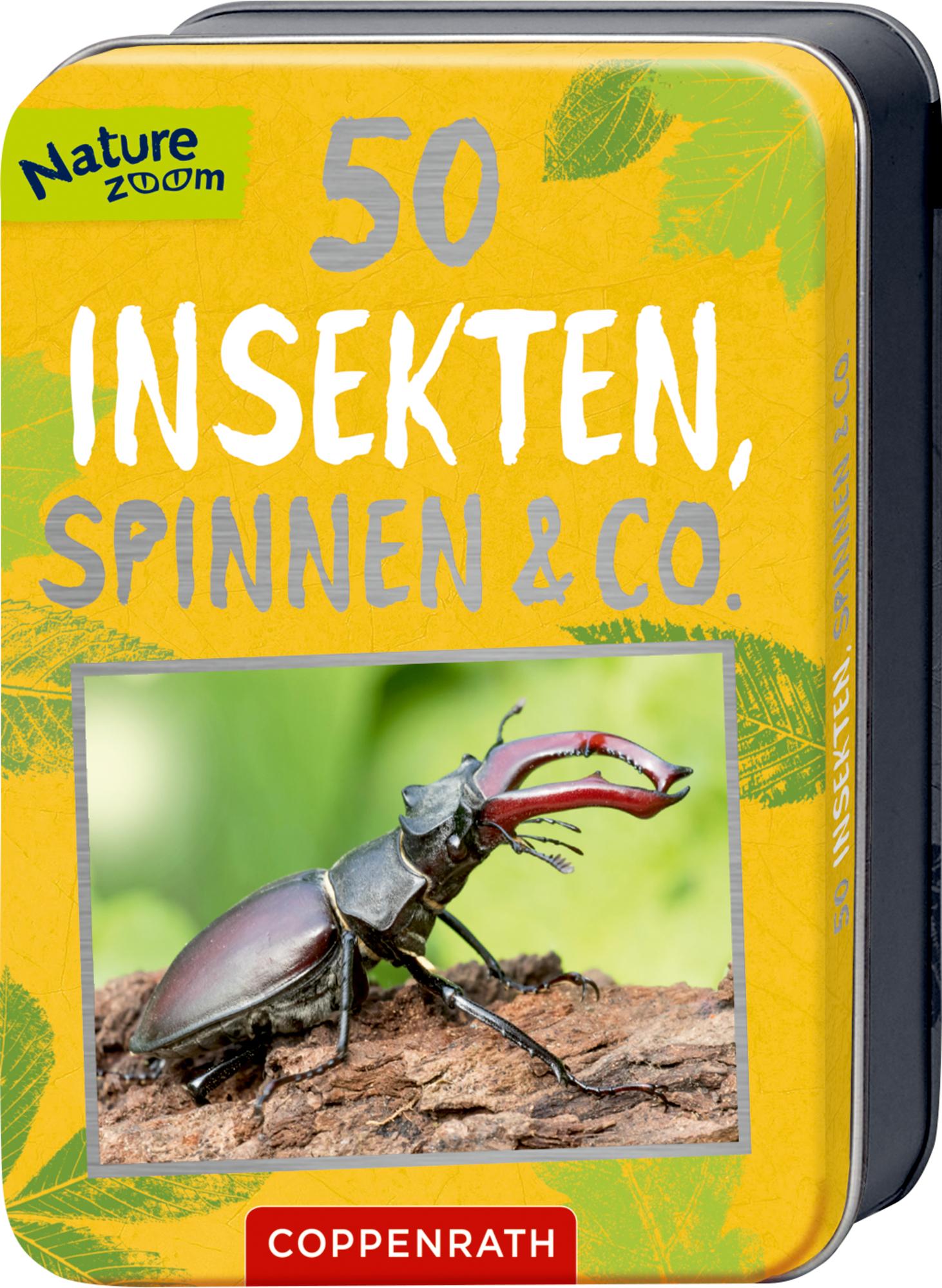 Vorderes Coverbild 50 Insekten, Spinnen & Co.