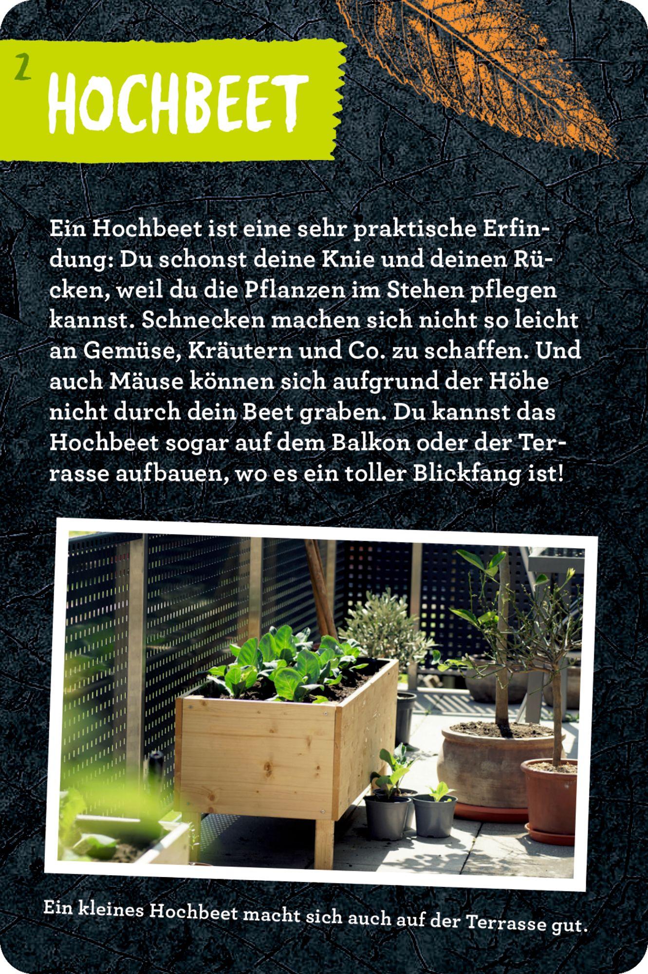 Beispielinhalt (Bild) 50 Garten-Projekte
