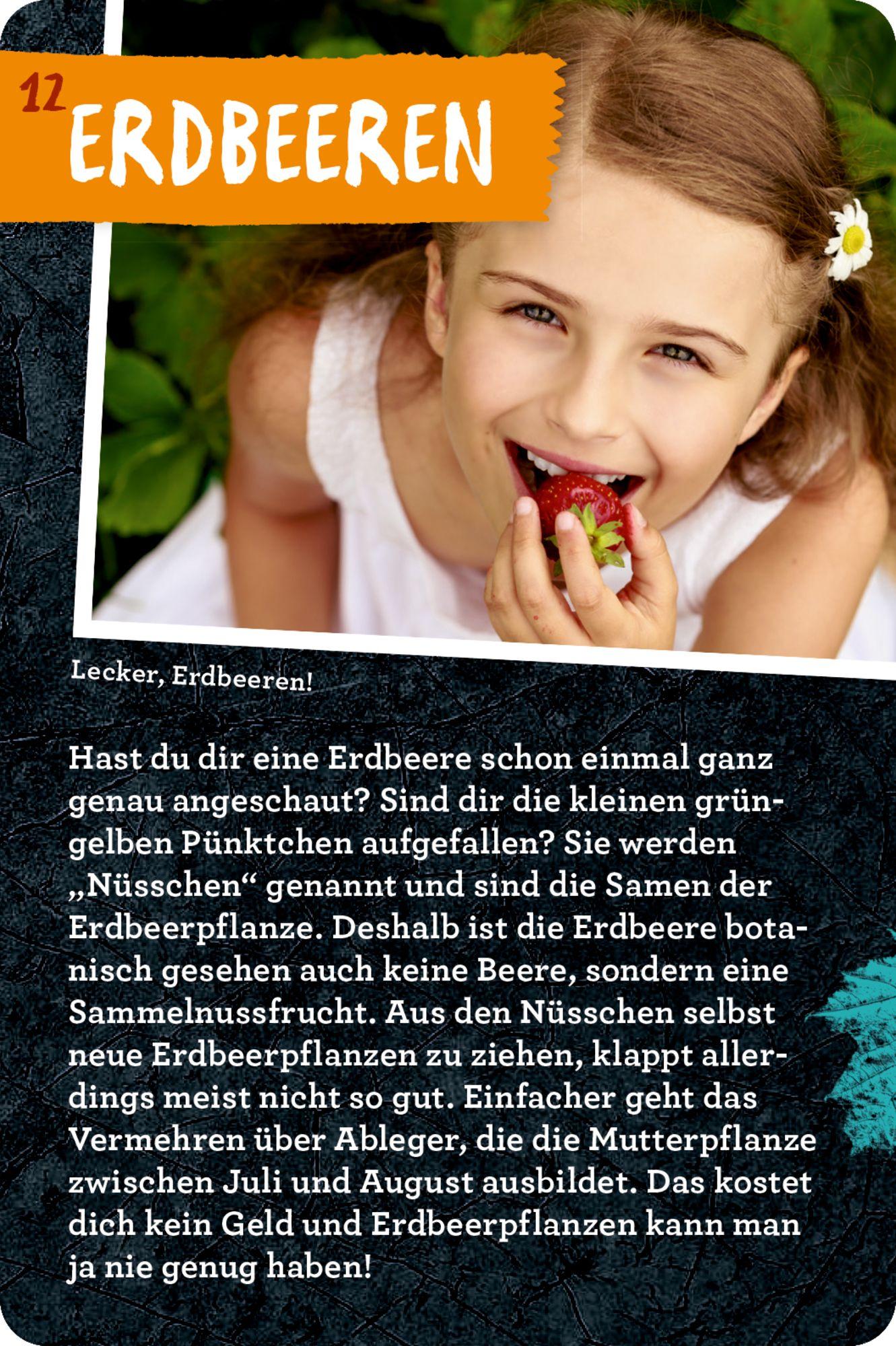 Beispielinhalt (Bild) 50 Garten-Projekte