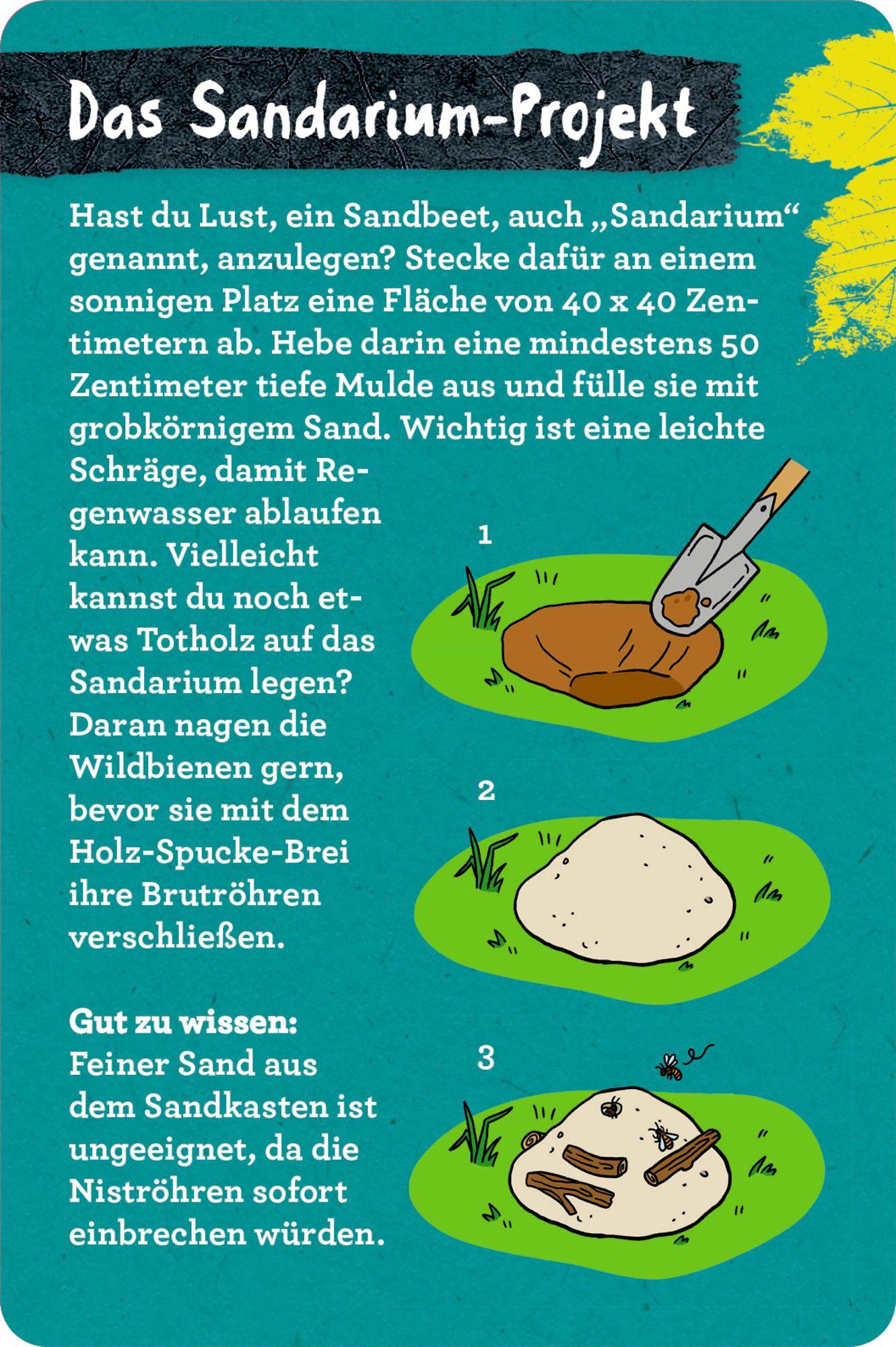 Beispielinhalt (Bild) 50 Garten-Projekte