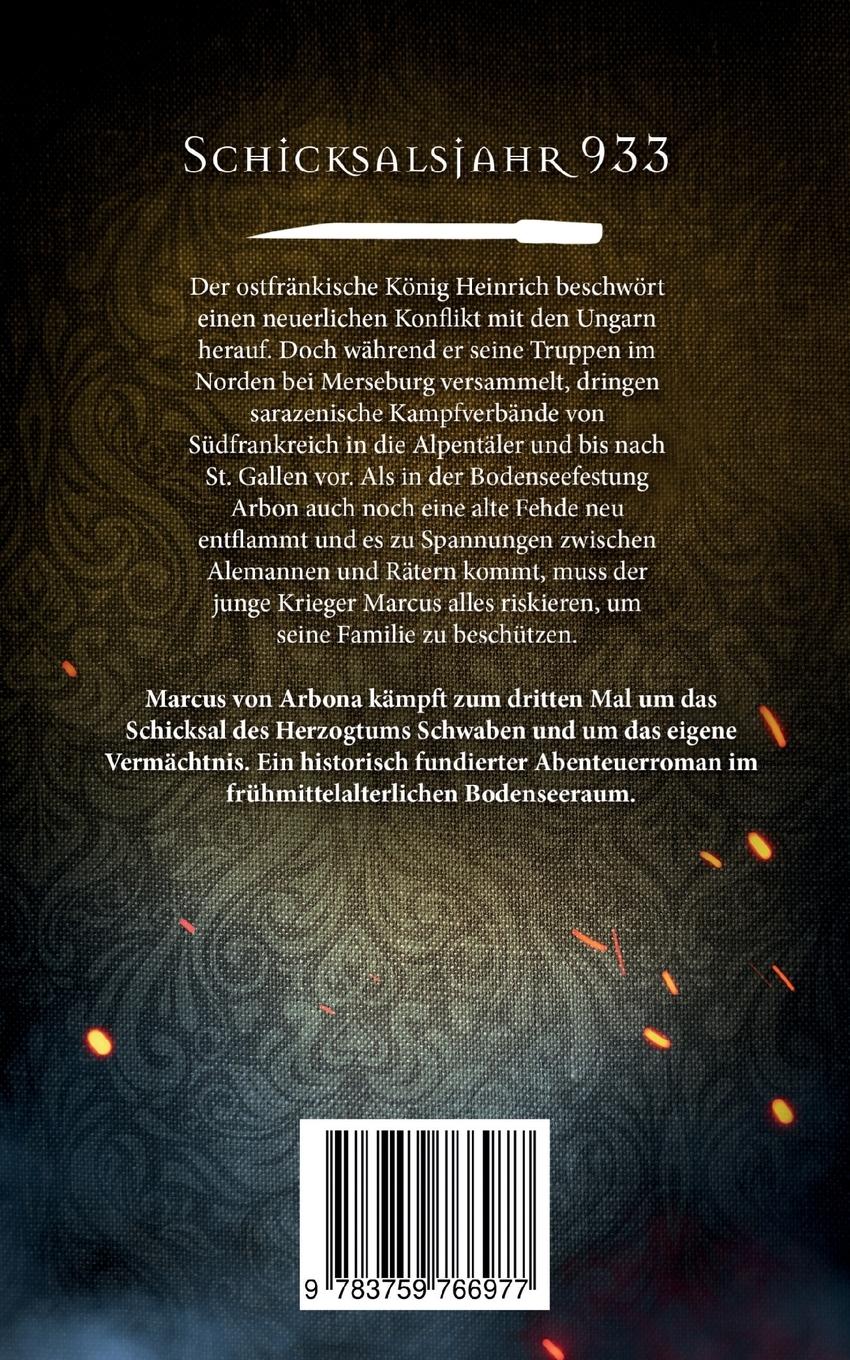 Rückseitencover Entscheidung am Bodensee