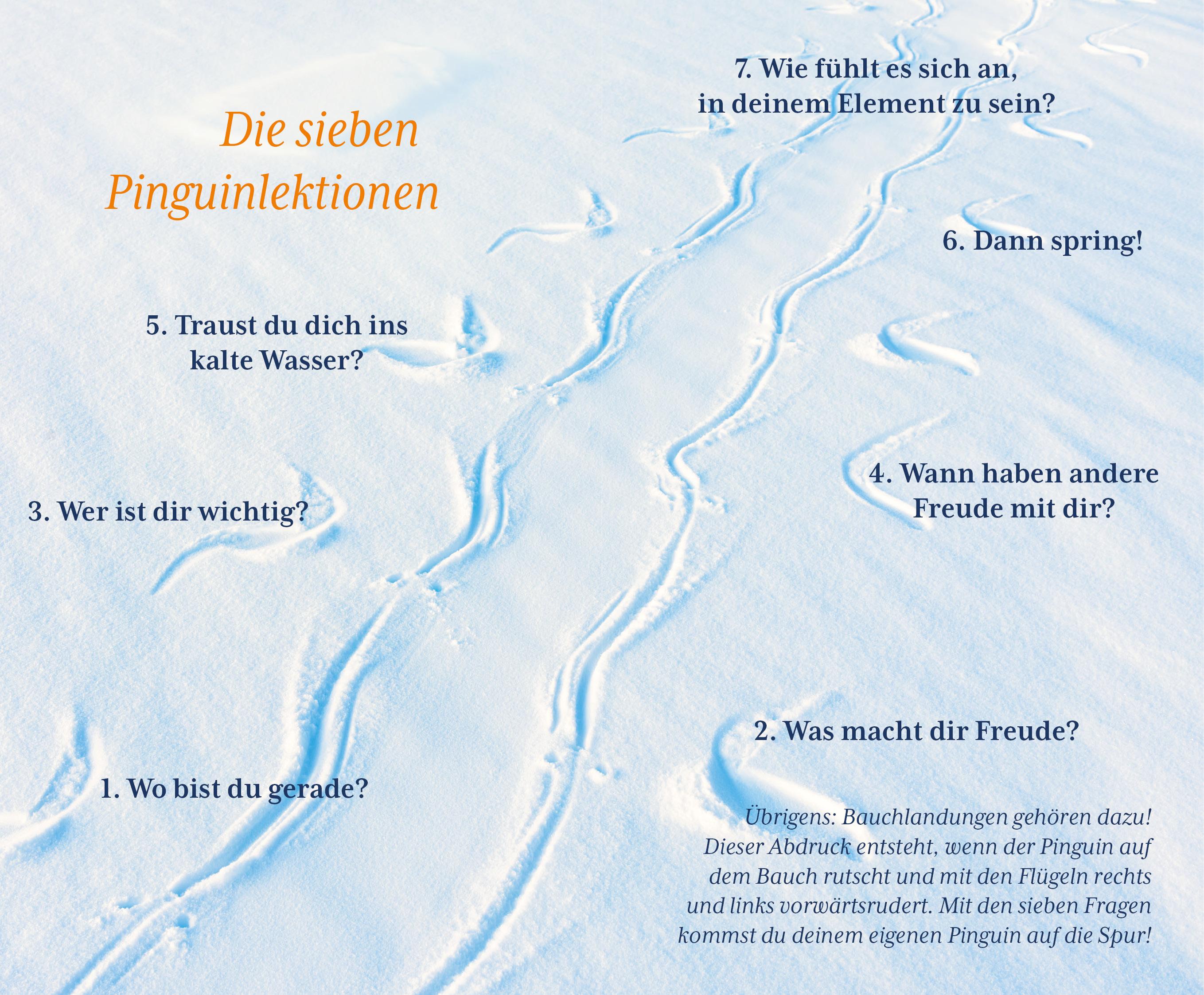 Beispielinhalt (Bild) Der Pinguin, der fliegen lernte