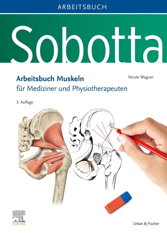 Vorderes Coverbild Sobotta Arbeitsbuch Muskeln