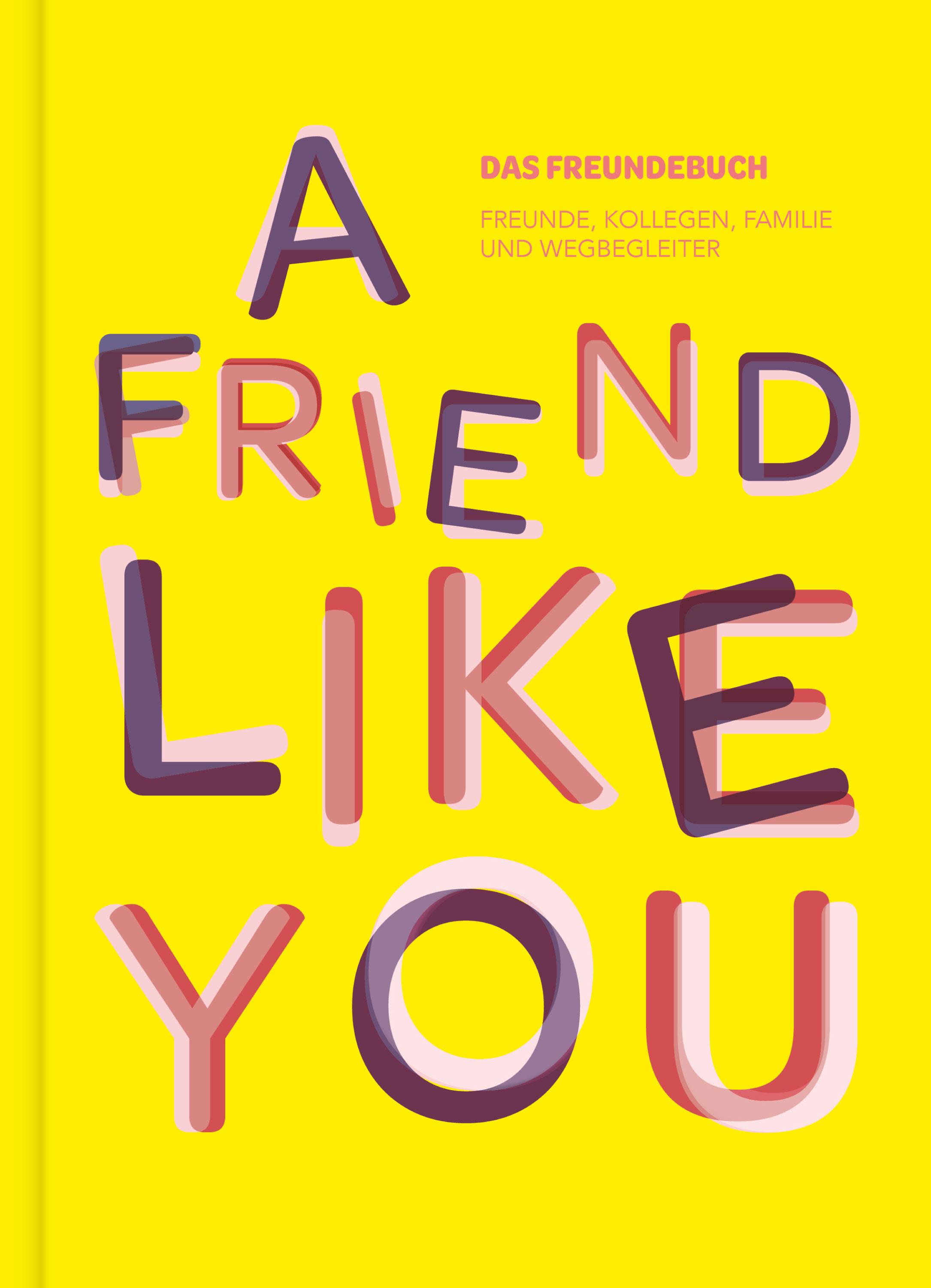 Vorderes Coverbild Das total verrückte Freundebuch für Erwachsene "A Friend Like You"