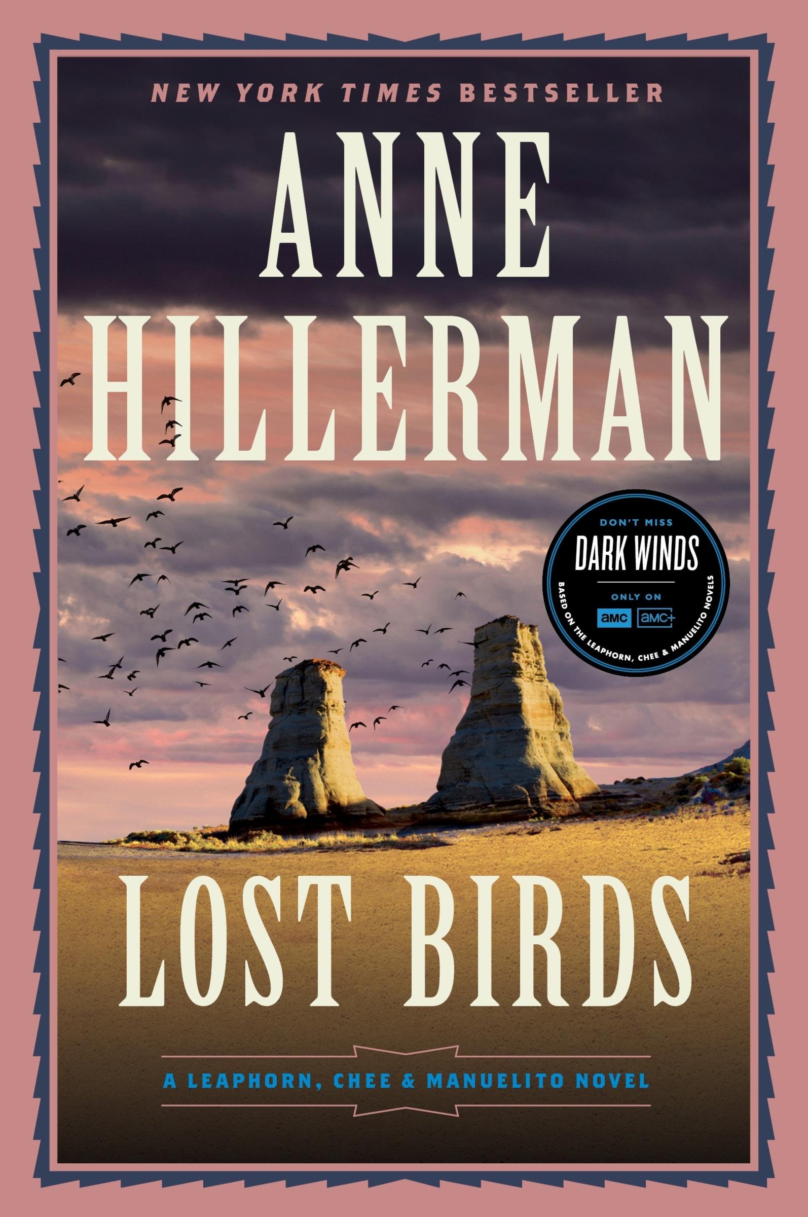 Vorderes Coverbild Lost Birds