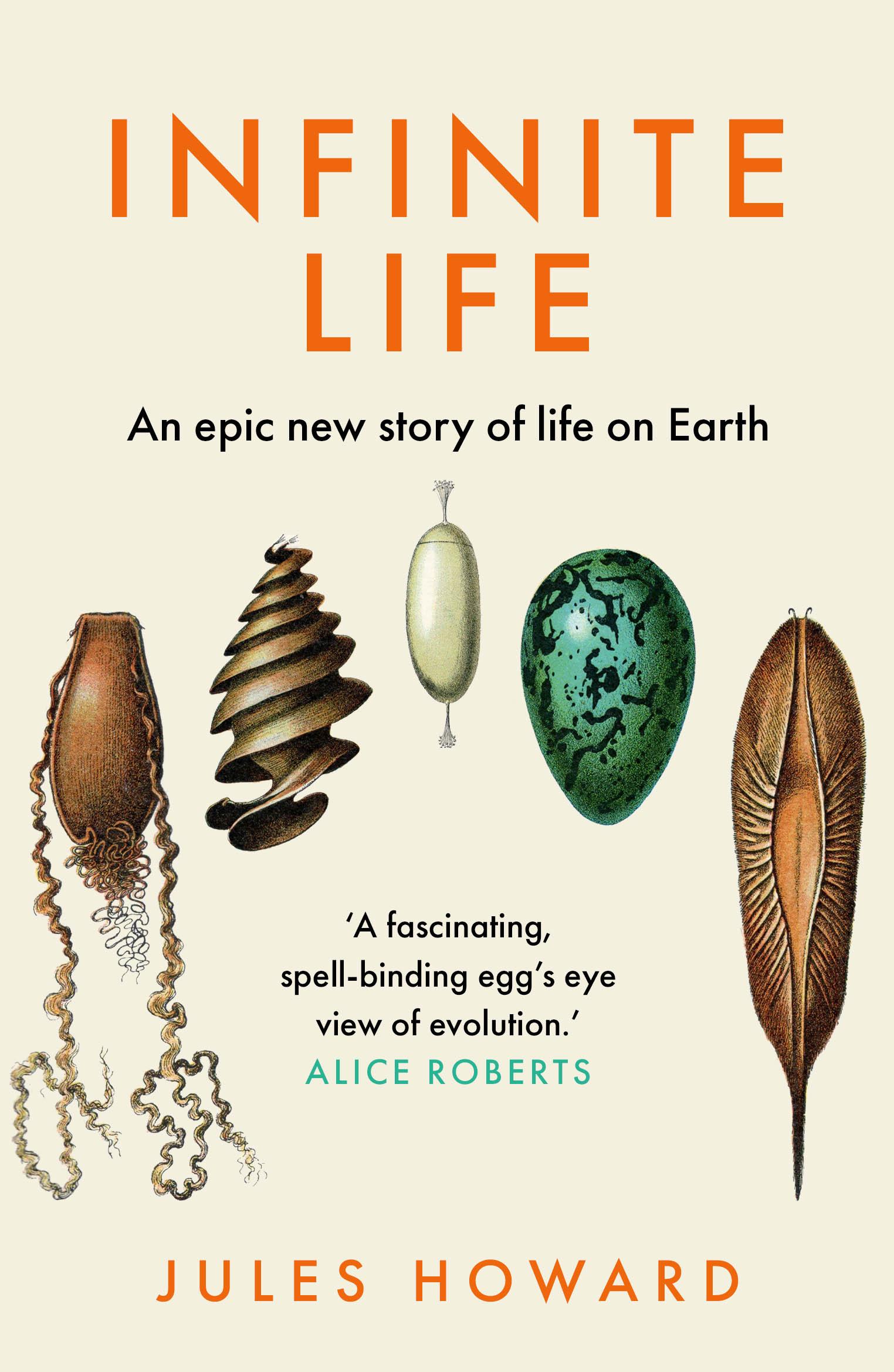 Vorderes Coverbild Infinite Life