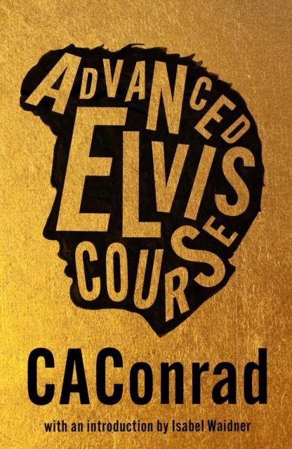 Vorderes Coverbild Advanced Elvis Course