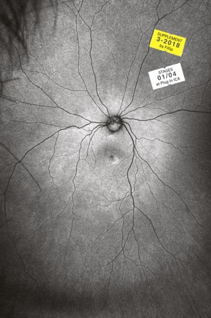 Vorderes Coverbild Supplement 3: The Invention and Conclusion of the Eye