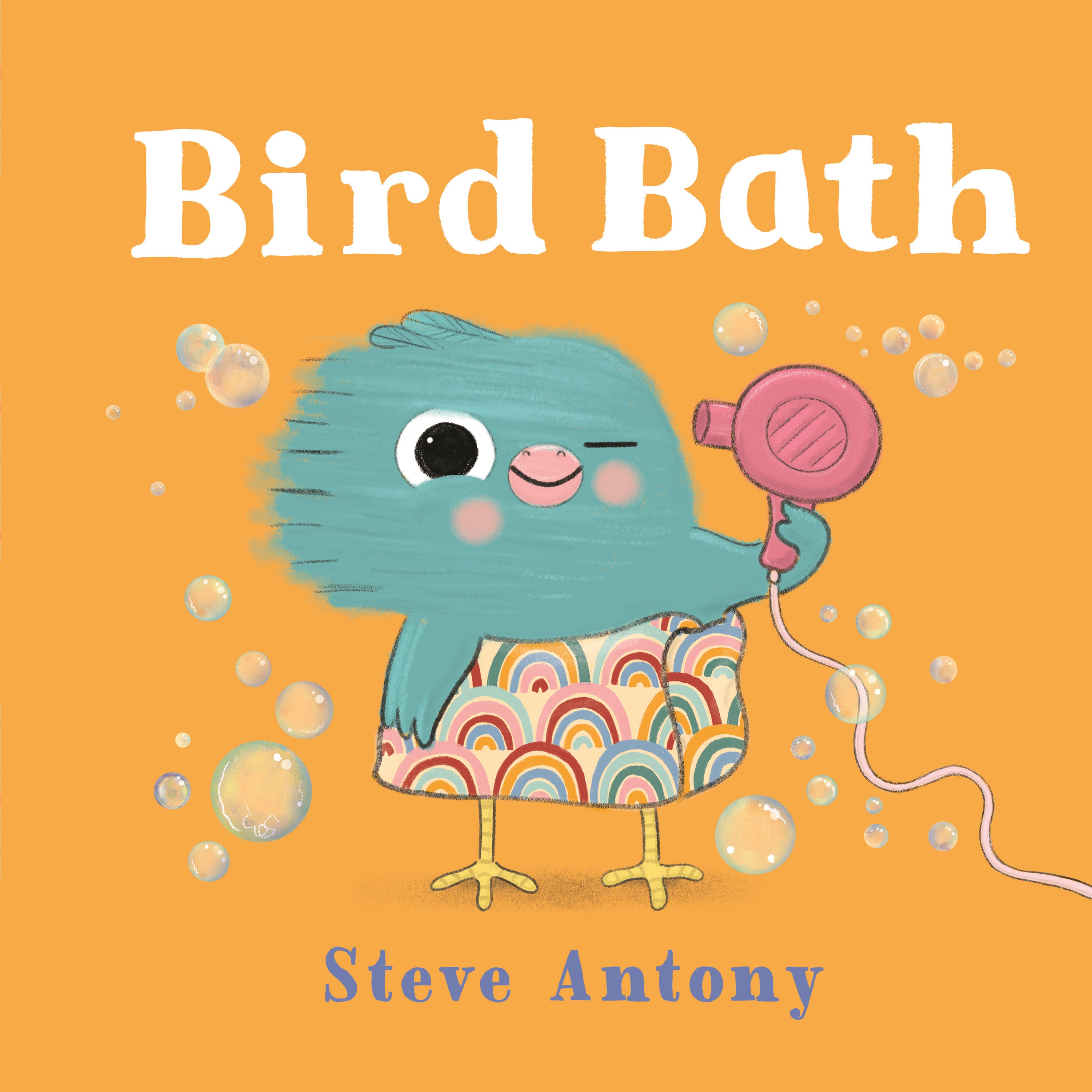 Vorderes Coverbild Bird Bath
