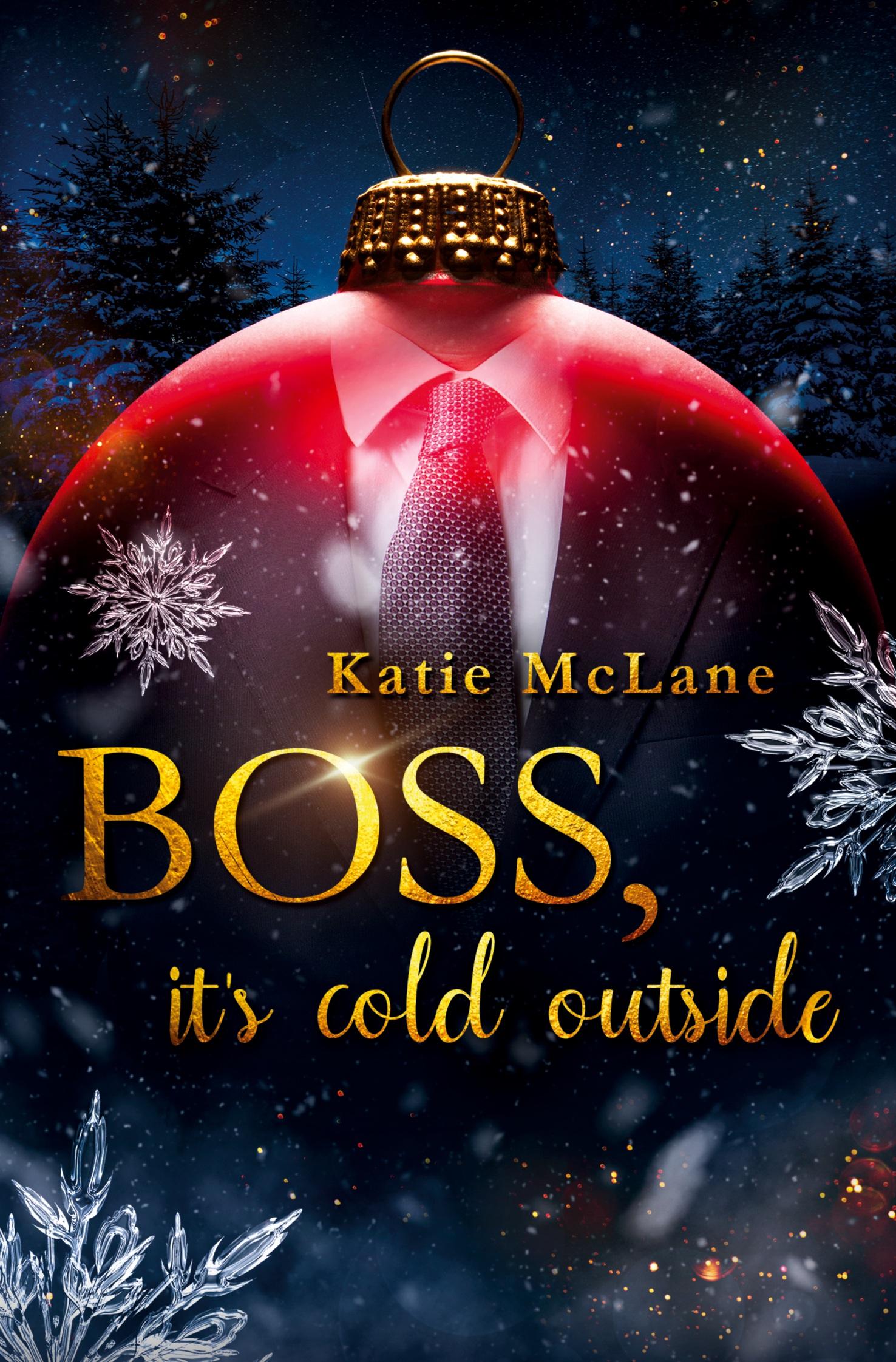 Vorderes Coverbild Boss, it's cold outside