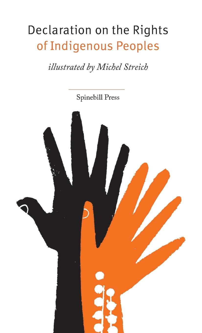 Vorderes Coverbild Declaration on the Rights of Indigenous Peoples