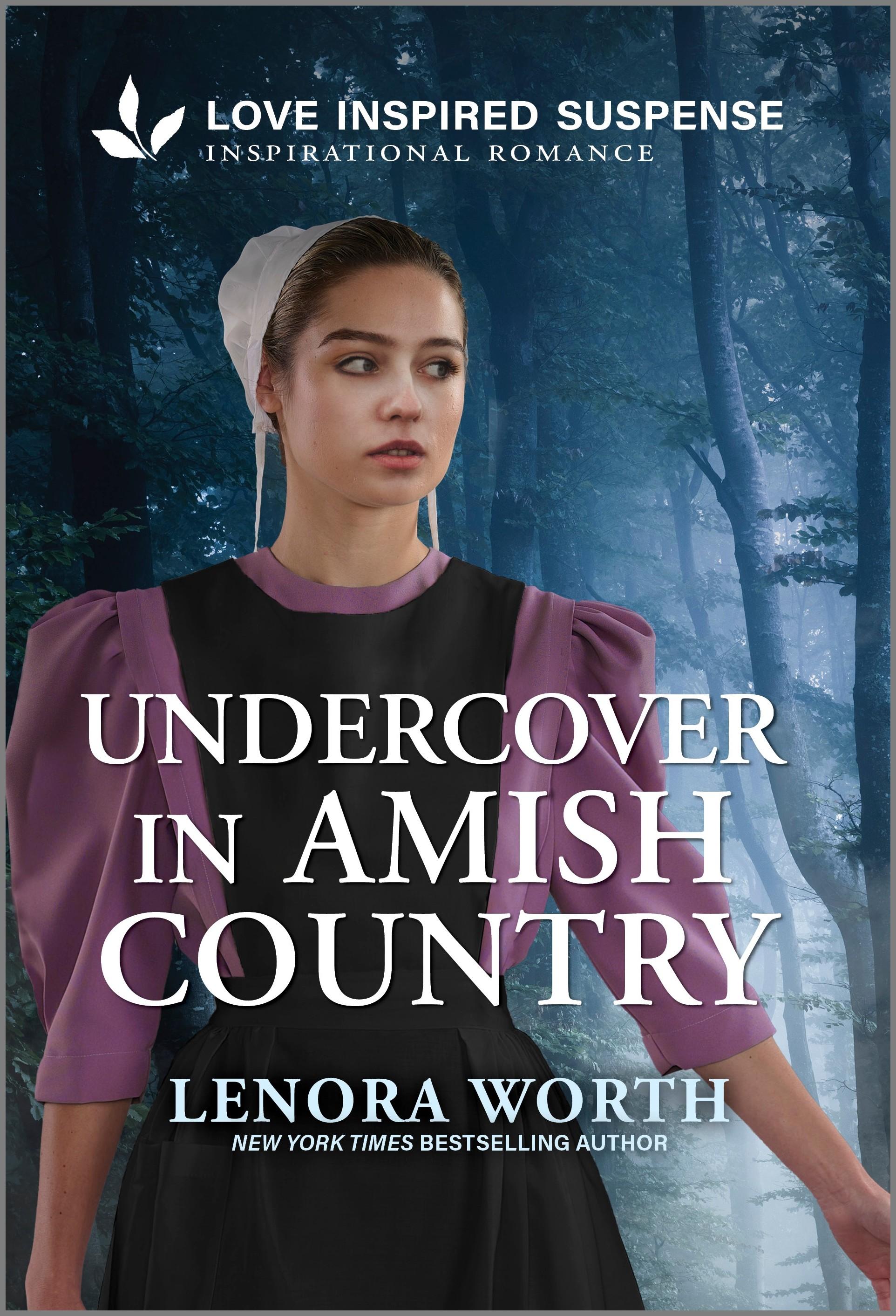 Vorderes Coverbild Undercover in Amish Country