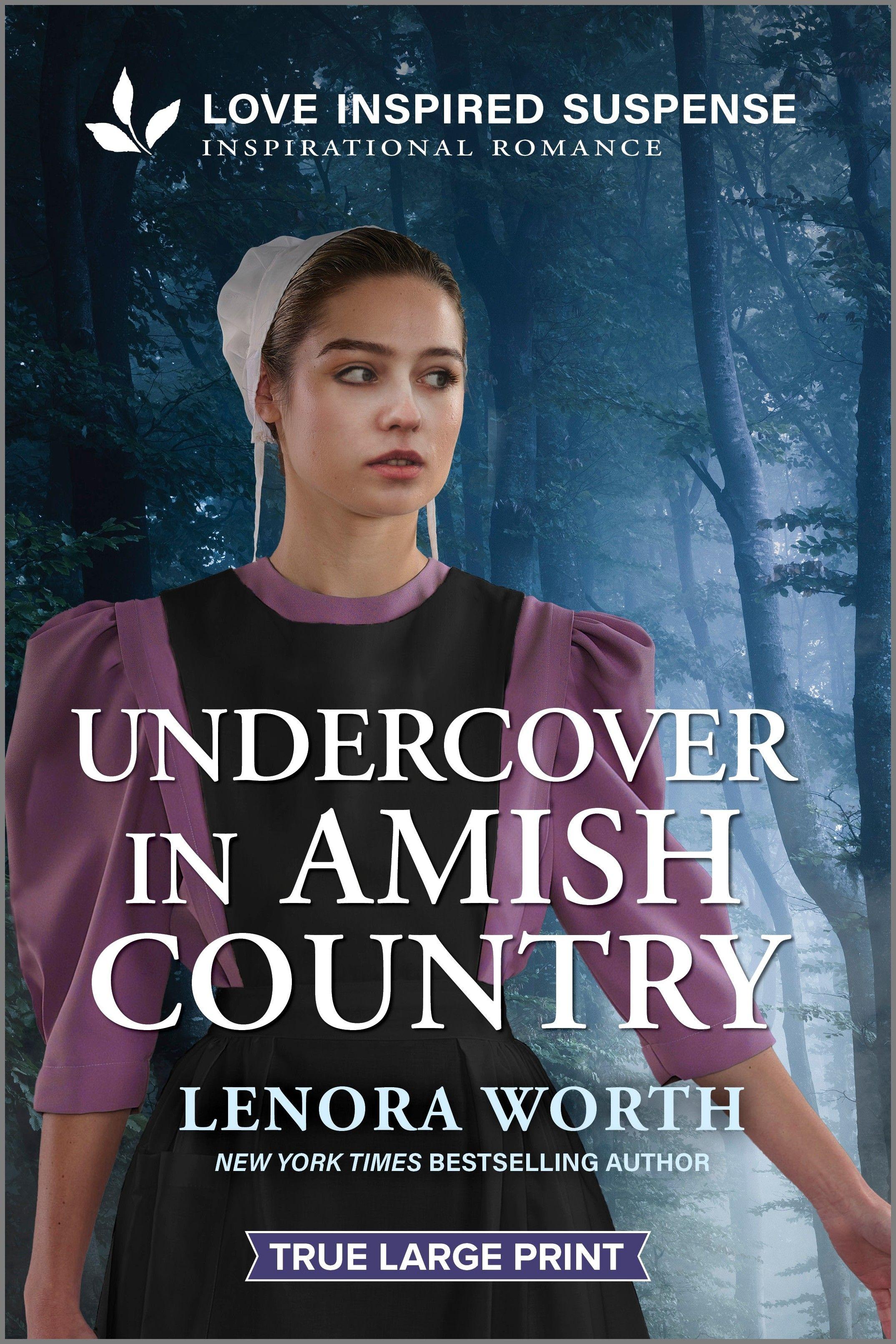 Vorderes Coverbild Undercover in Amish Country