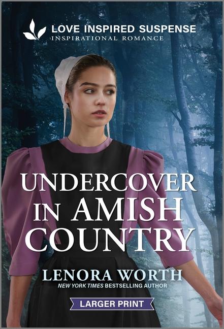 Vorderes Coverbild Undercover in Amish Country