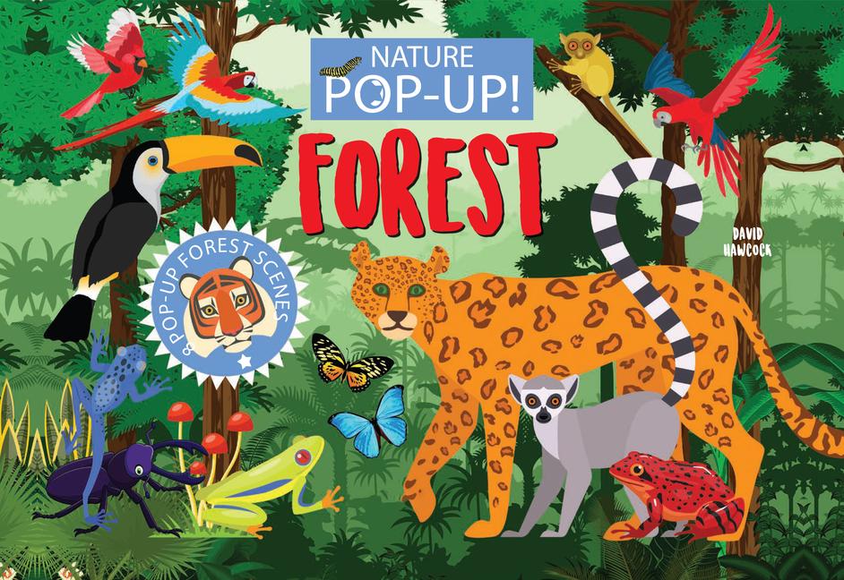 Vorderes Coverbild Nature Pop-Up! Forests