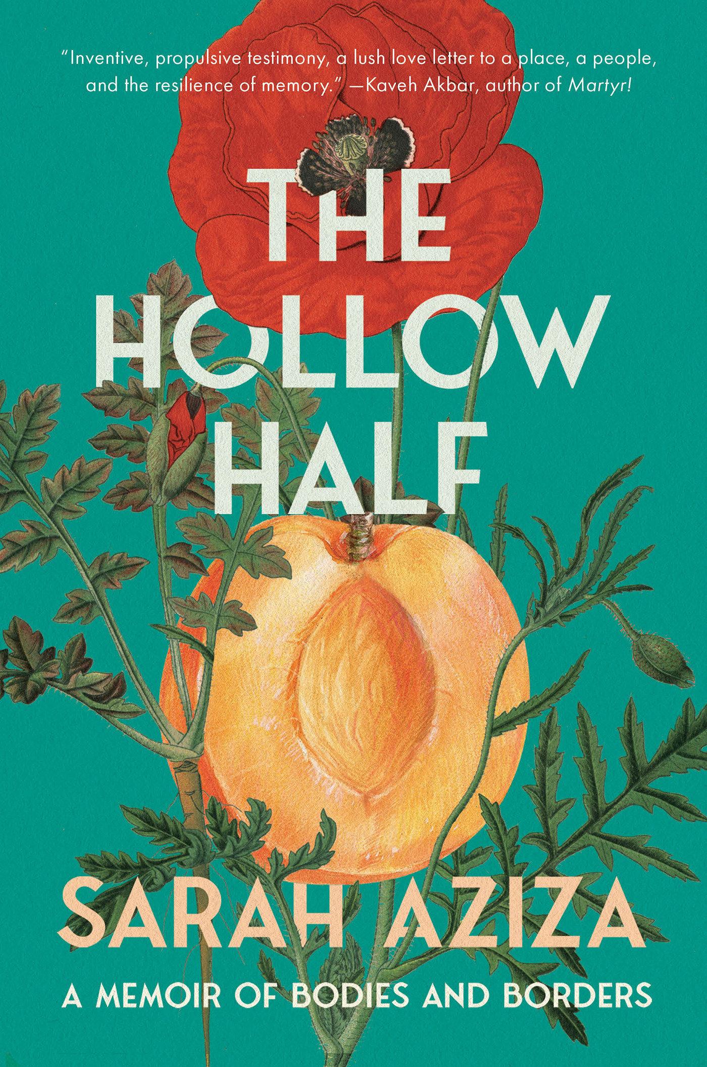 Vorderes Coverbild The Hollow Half