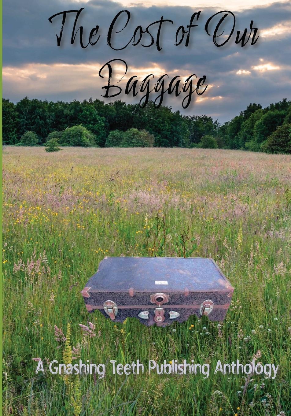 Vorderes Coverbild The Cost of Our Baggage