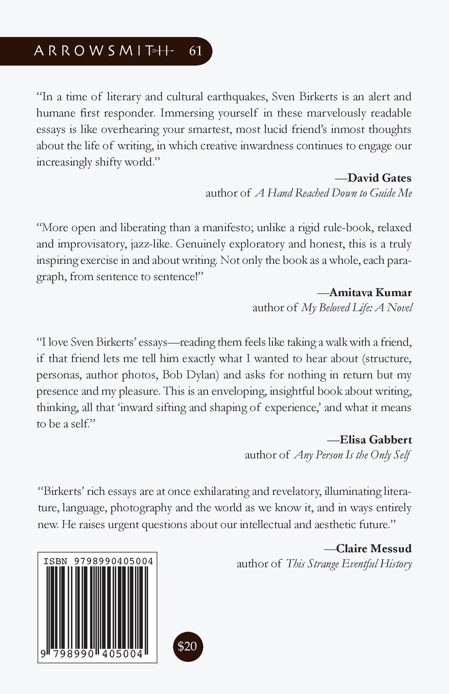 Rückseitencover The Miró Worm and the Mysteries of Writing