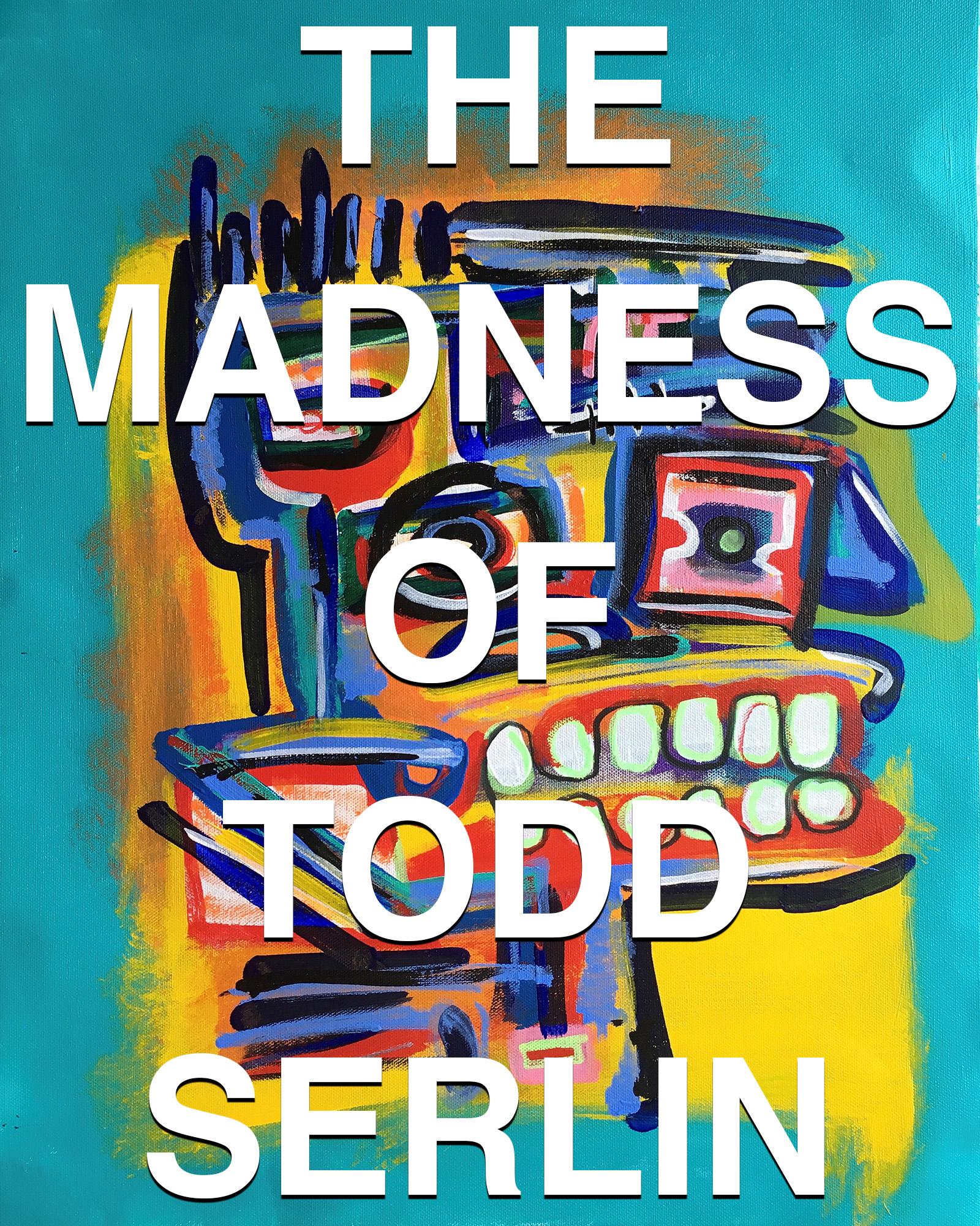 Vorderes Coverbild The Madness of Todd Serlin