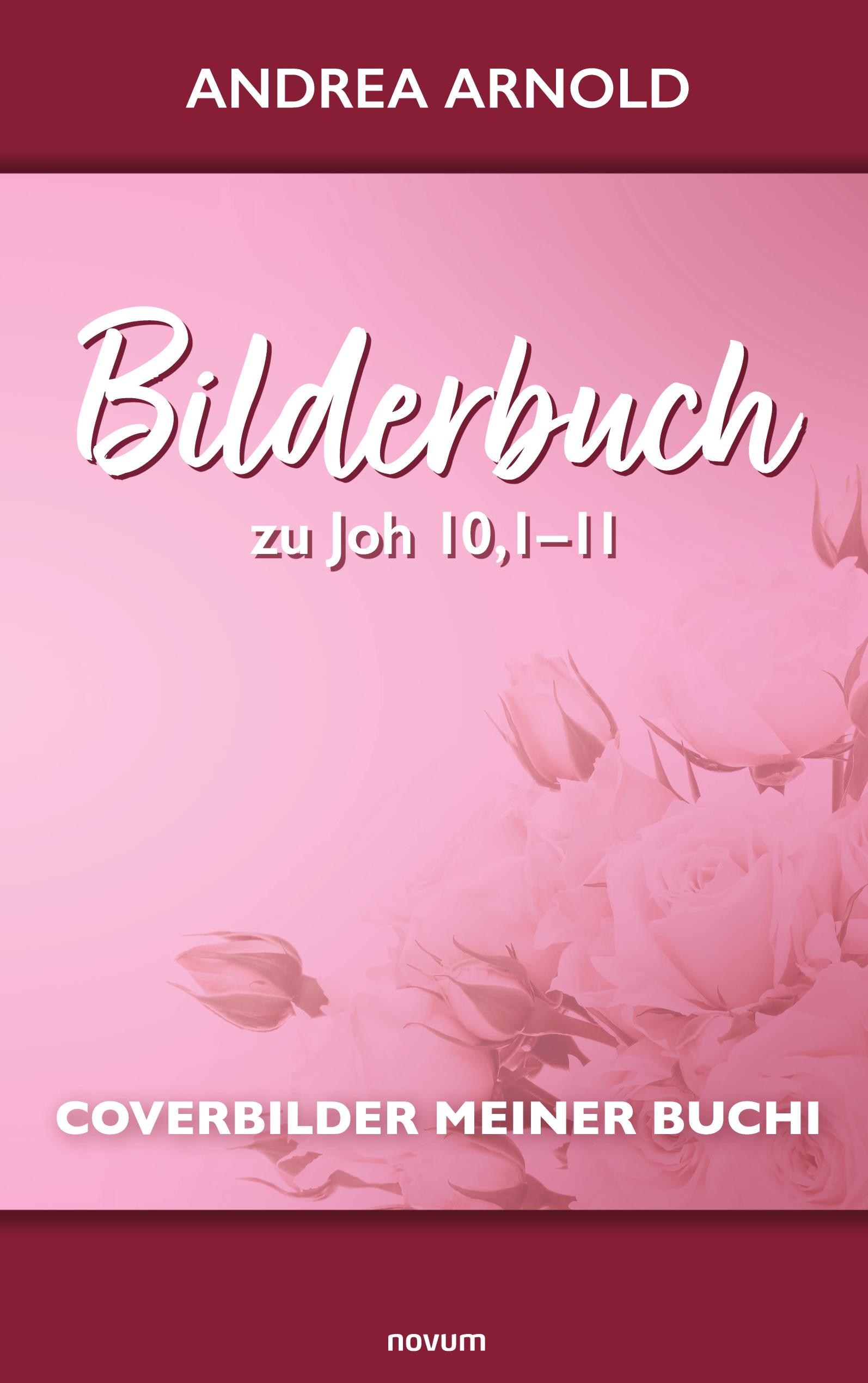 Vorderes Coverbild Bilderbuch zu Joh 10,1-11