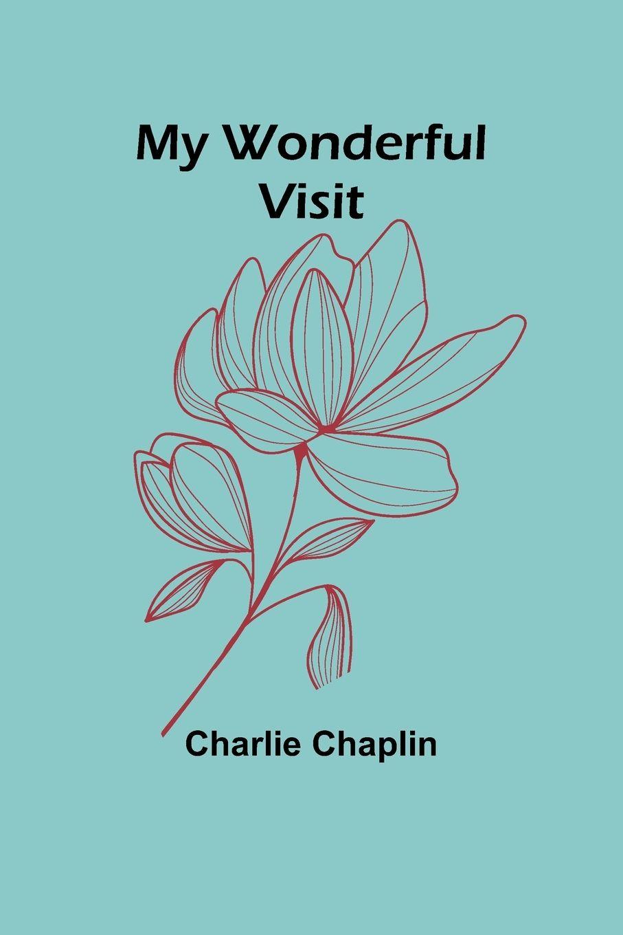 Vorderes Coverbild My Wonderful Visit
