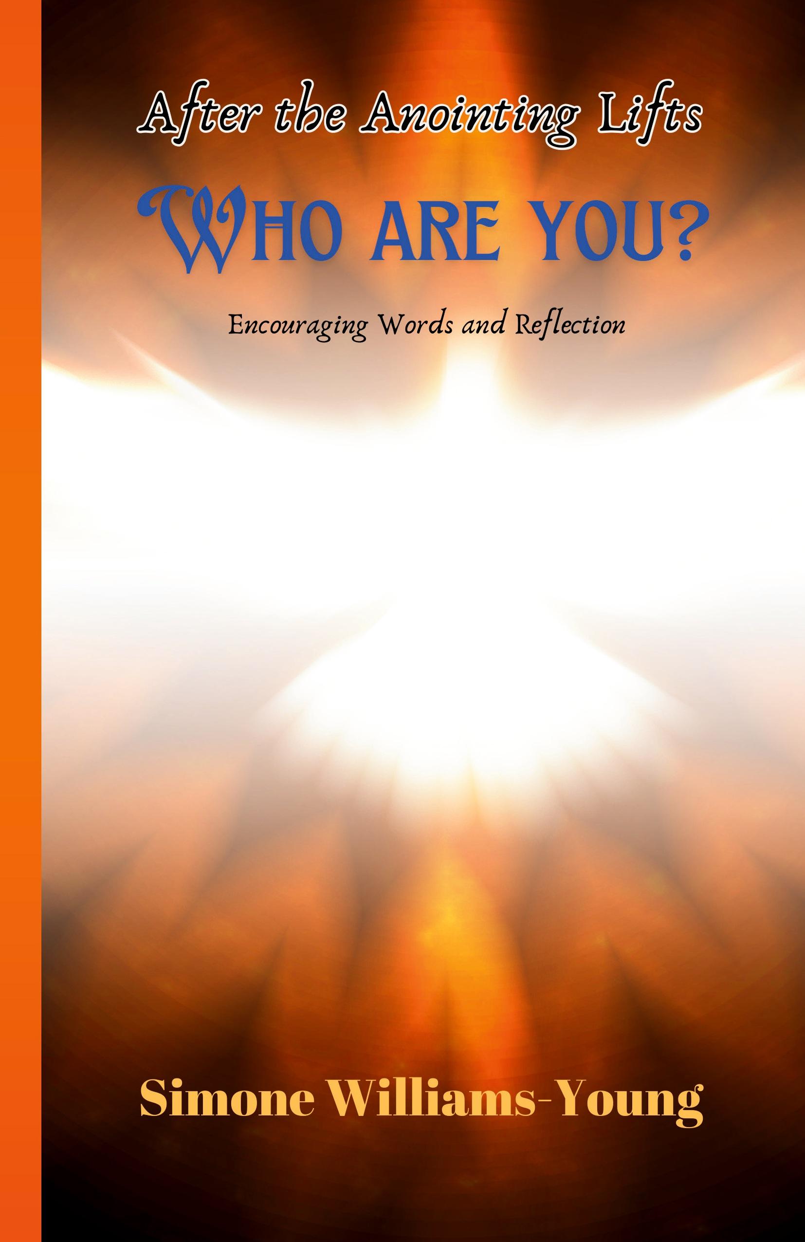 Vorderes Coverbild After the Anointing Lifts