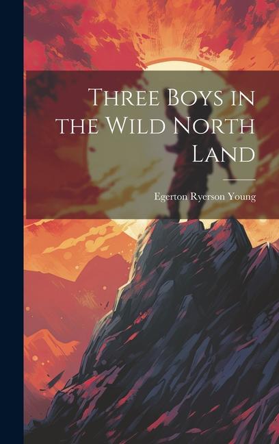 Vorderes Coverbild Three Boys in the Wild North Land