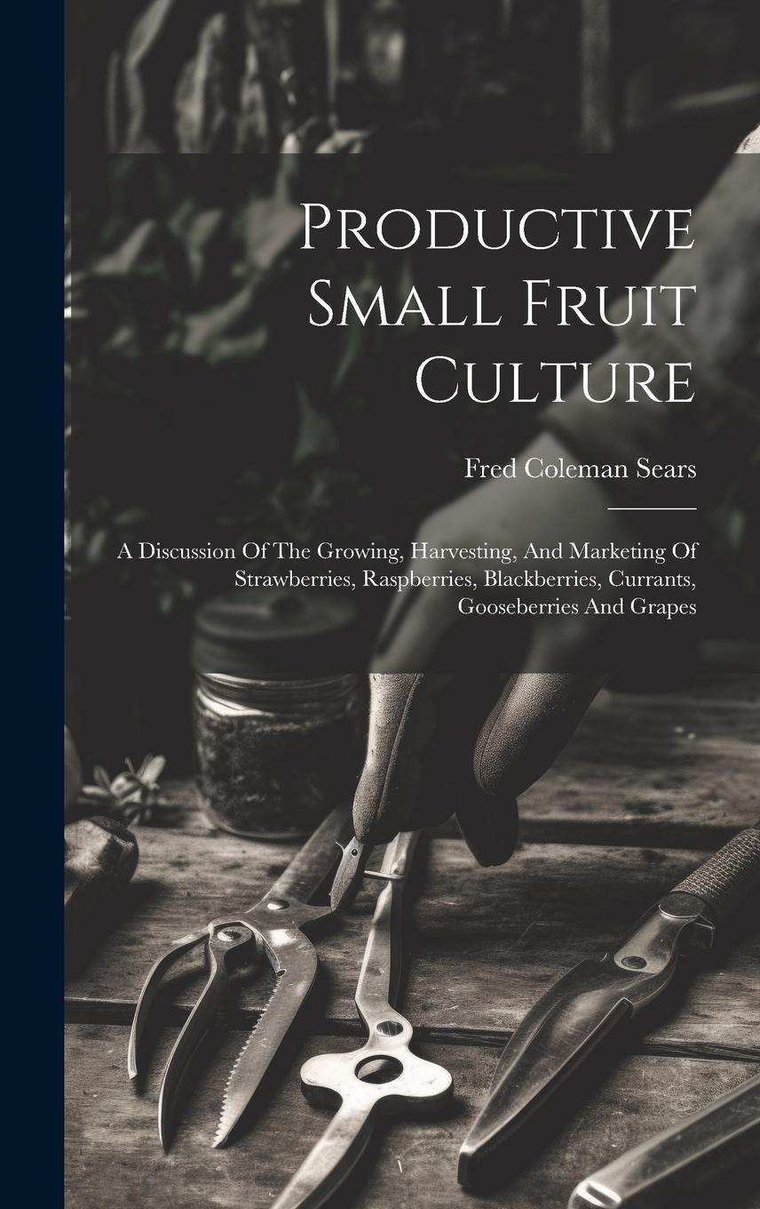 Vorderes Coverbild Productive Small Fruit Culture: A Discussion Of The Growing, Harvesting, And Marketing Of Strawberries, Raspberries, Blackberries, Currants, Gooseberr