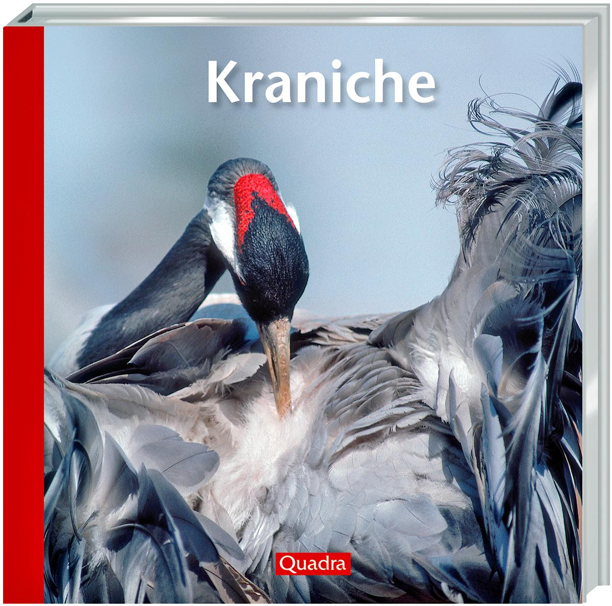 Vorderes Coverbild Kraniche