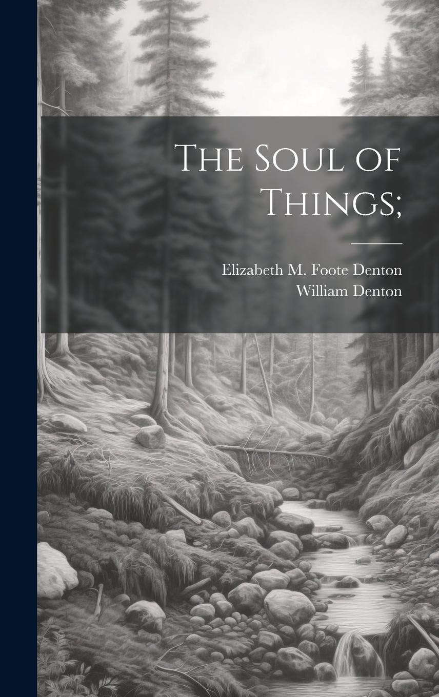 Vorderes Coverbild The Soul of Things;