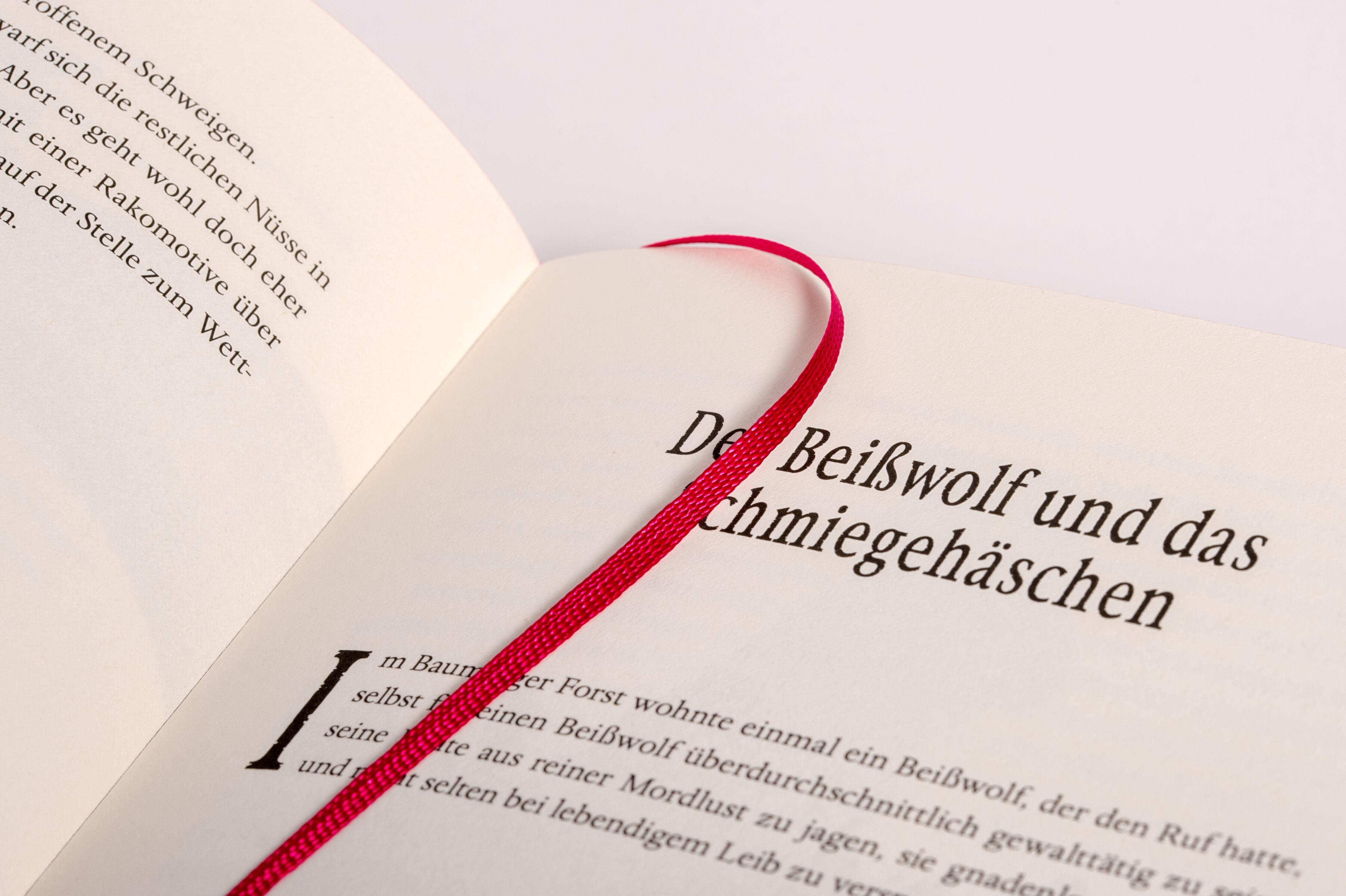 Beispielinhalt (Bild) Das Einhörnchen, das rückwärts leben wollte