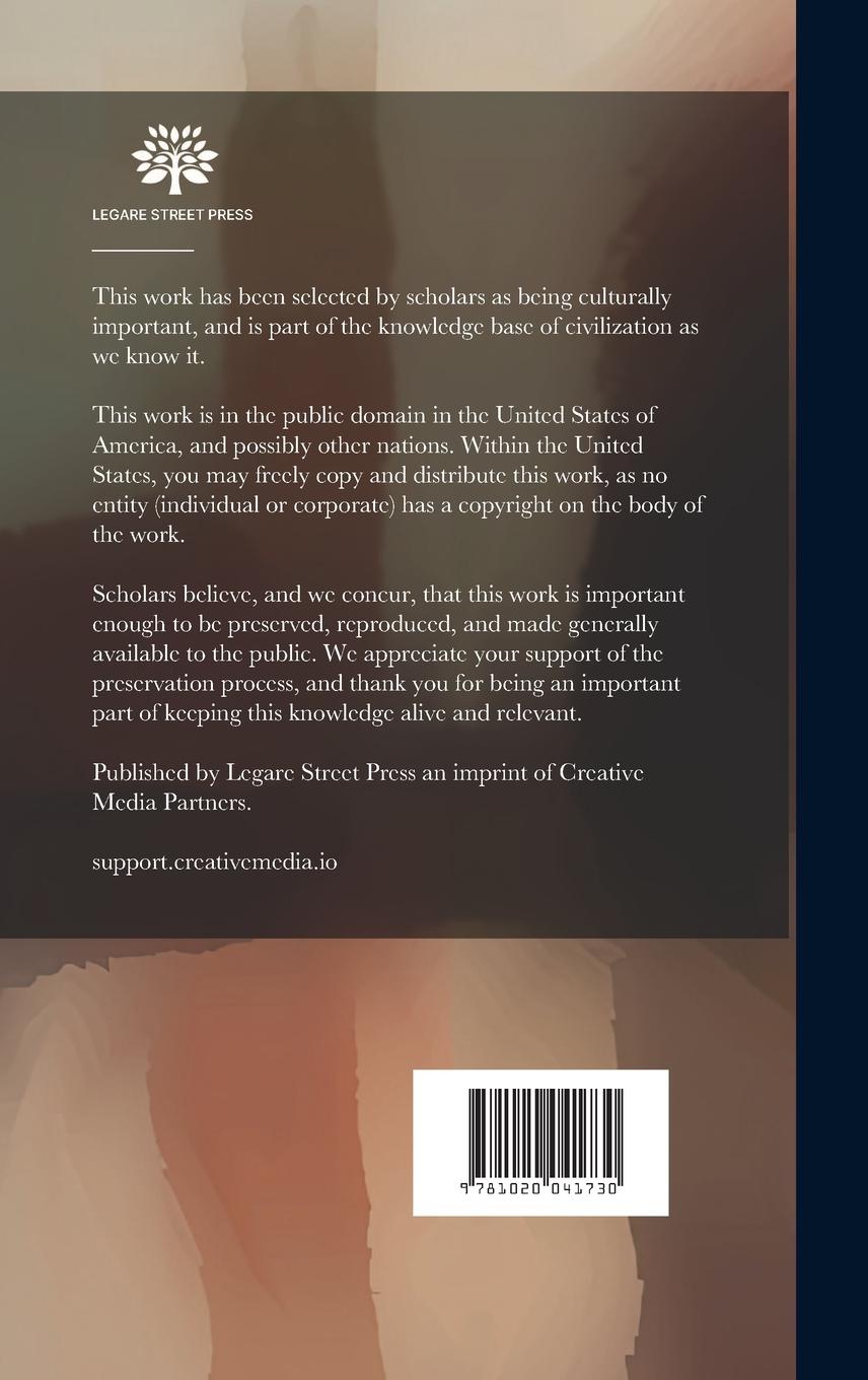 Rückseitencover The Problems of a Great City